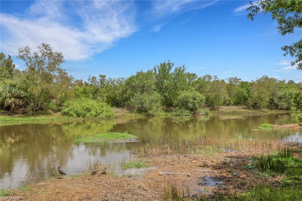 10260 Olivewood WAY 58