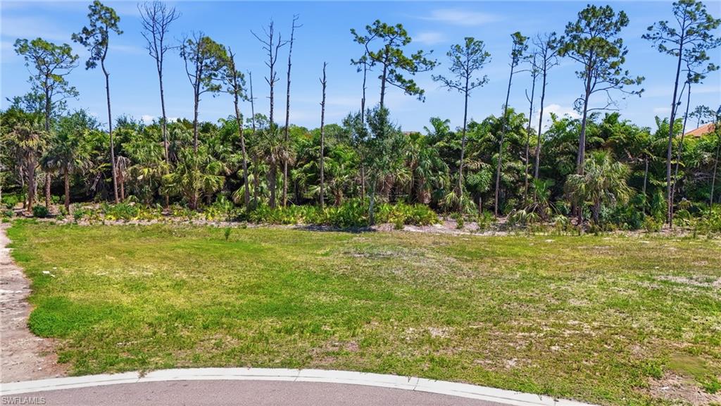 2969 Coco Lakes lot 59 DR