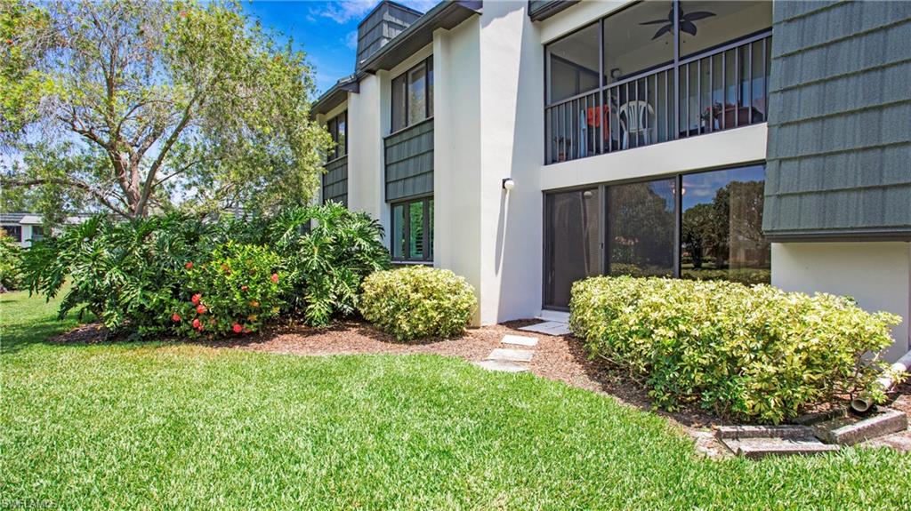 1545 Oyster Catcher PT A