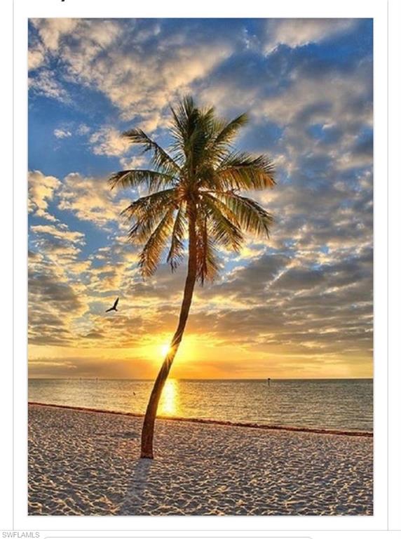 266 Barefoot Beach BLVD 504