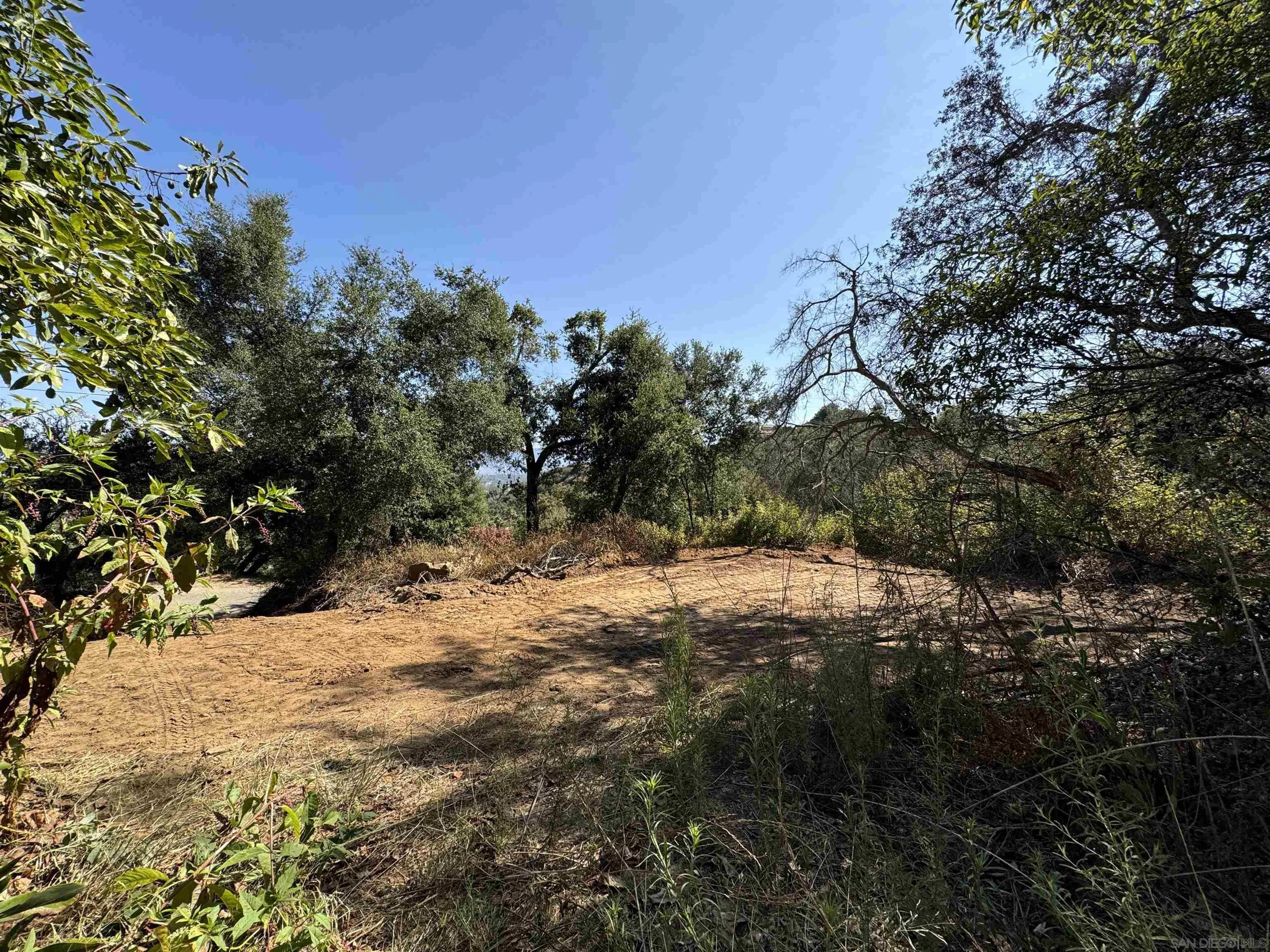 12451 Mirar De Valle