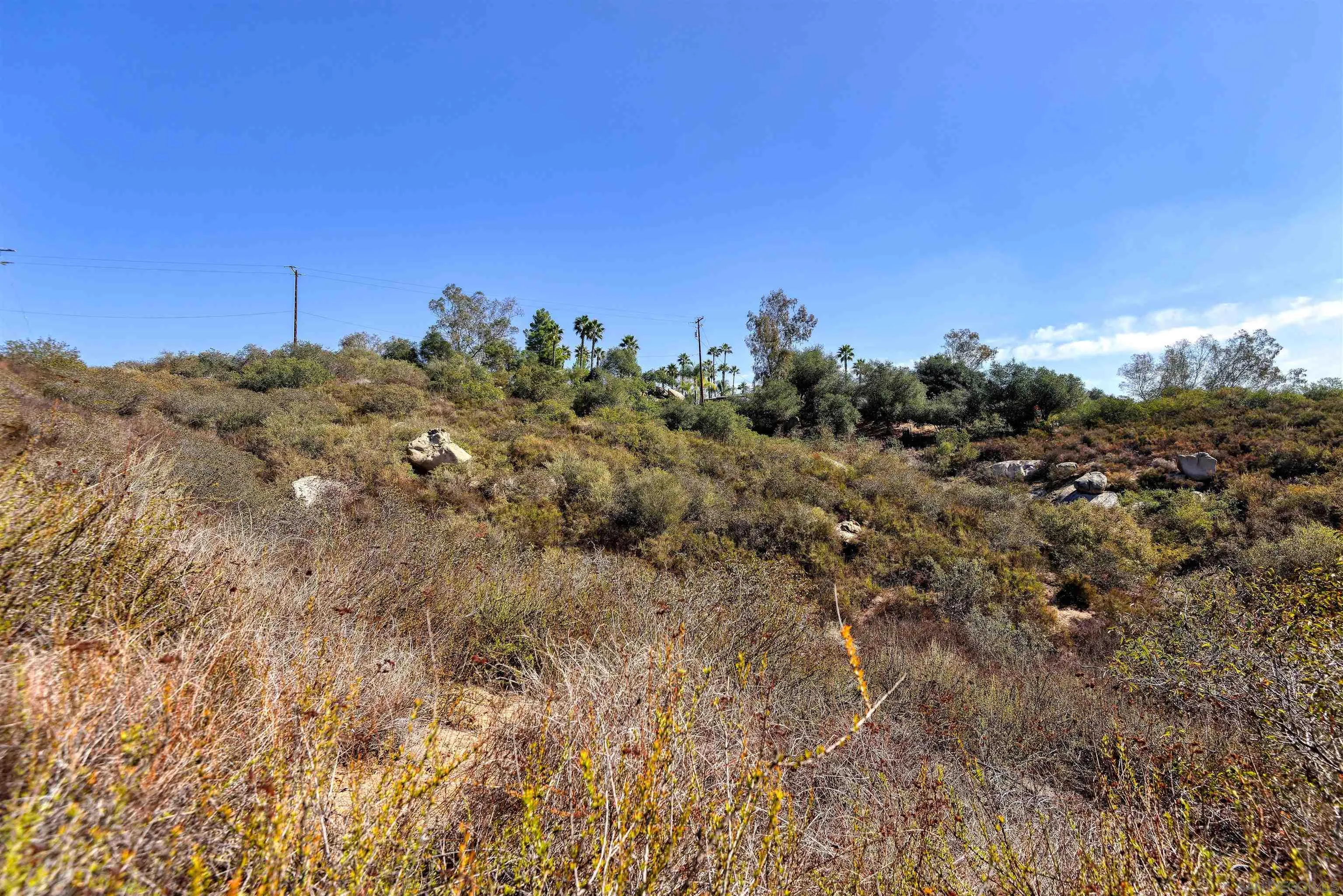 16540 Green Valley Truck Trail