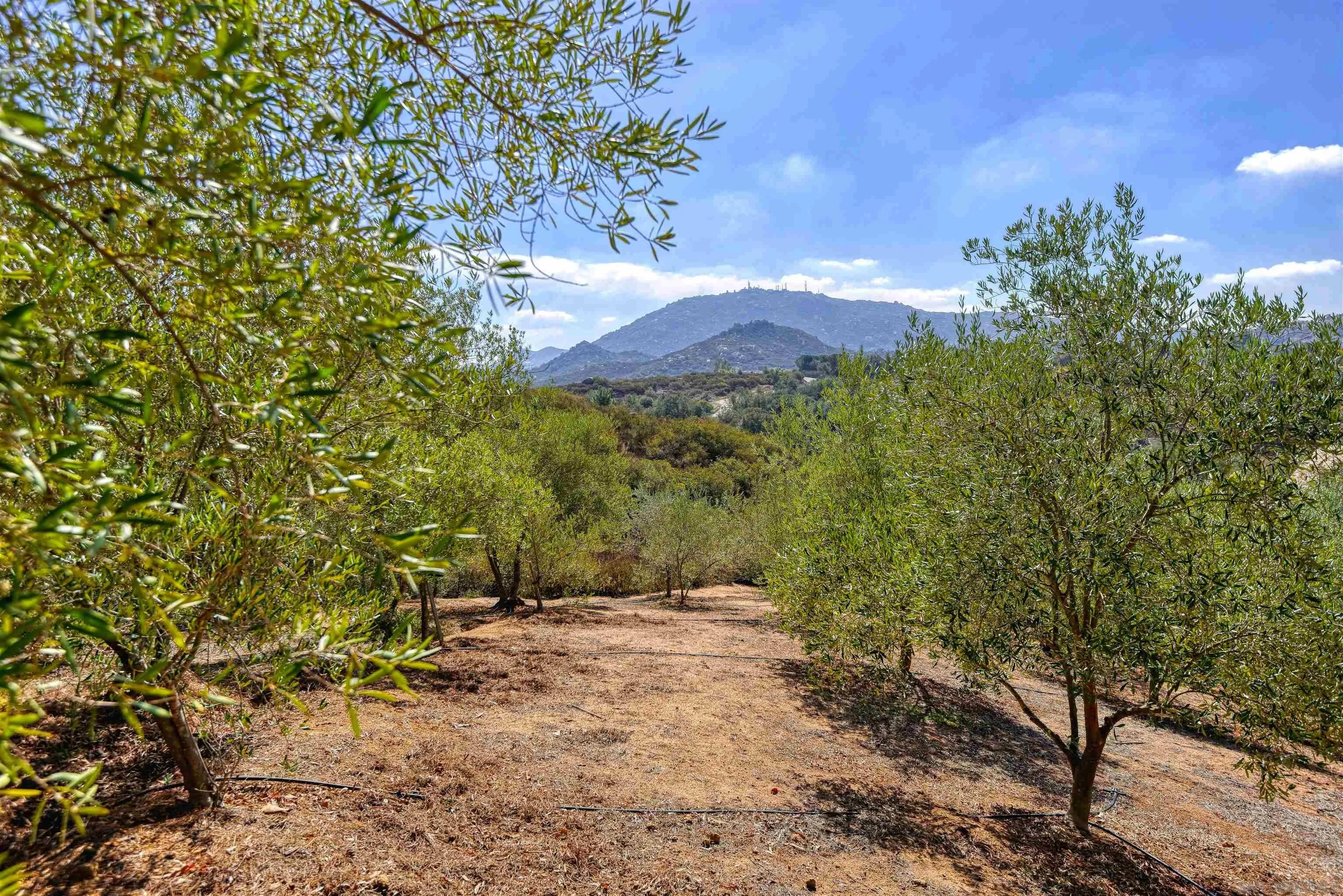 16540 Green Valley Truck Trail