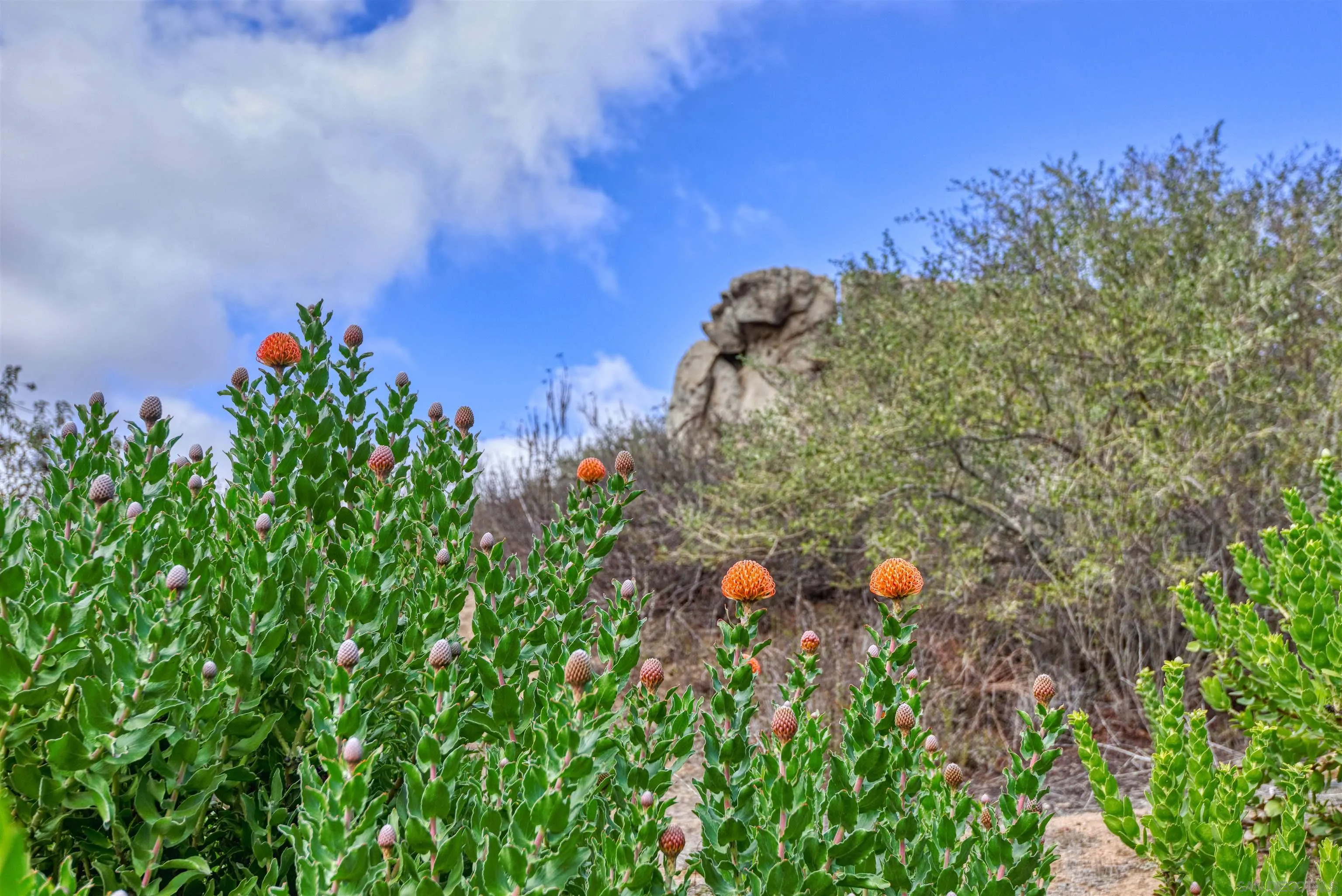 16540 Green Valley Truck Trail