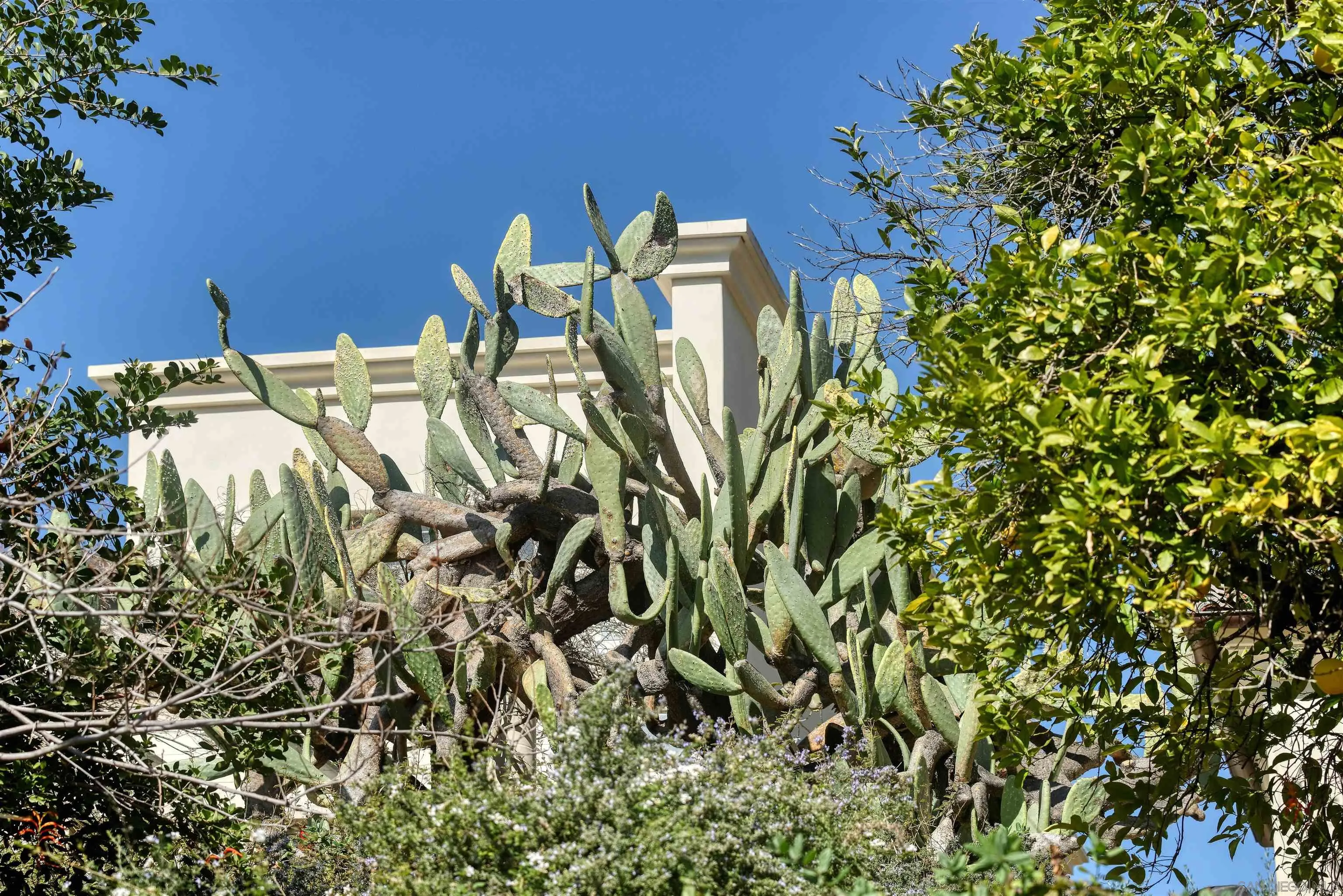 16540 Green Valley Truck Trail