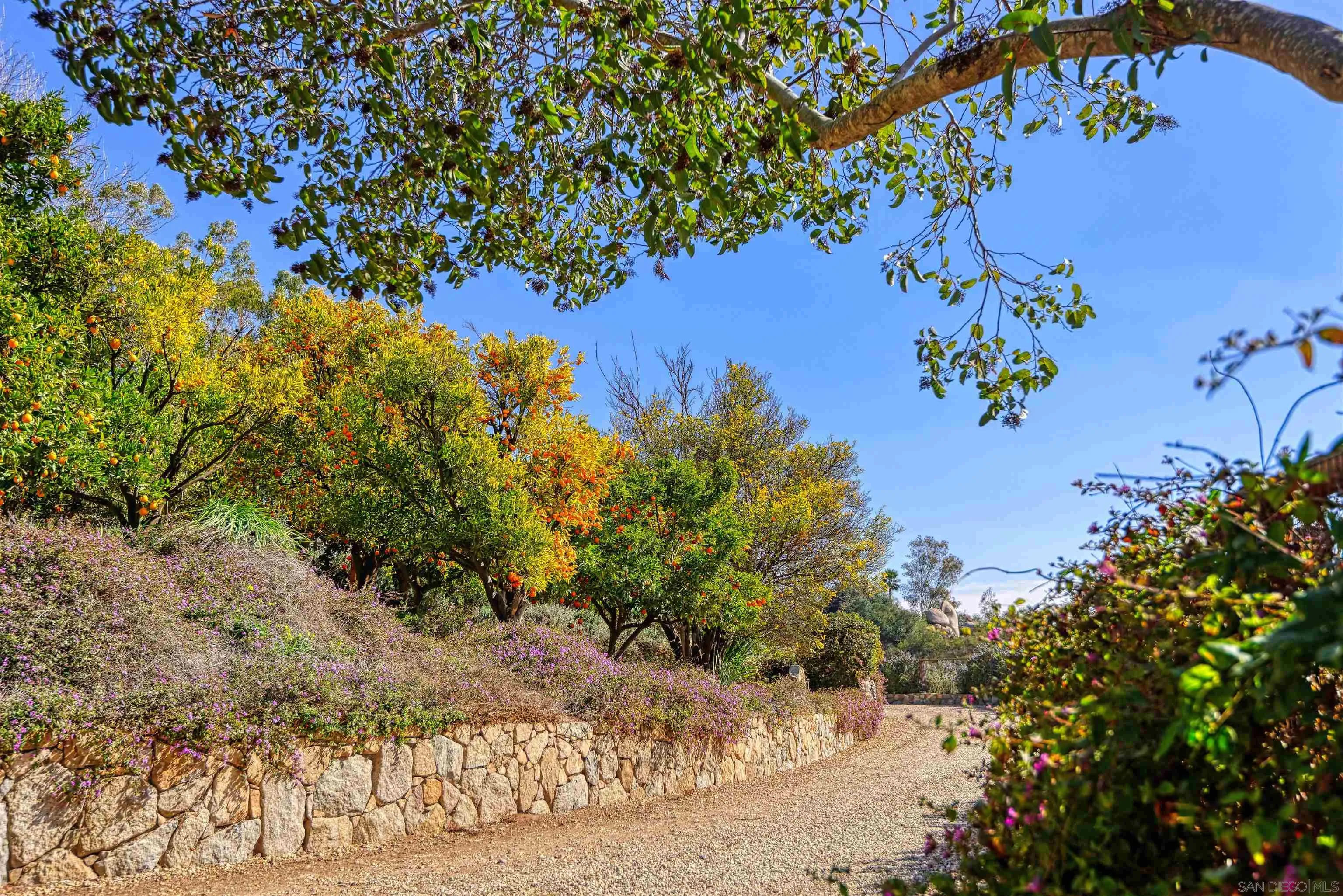 16540 Green Valley Truck Trail