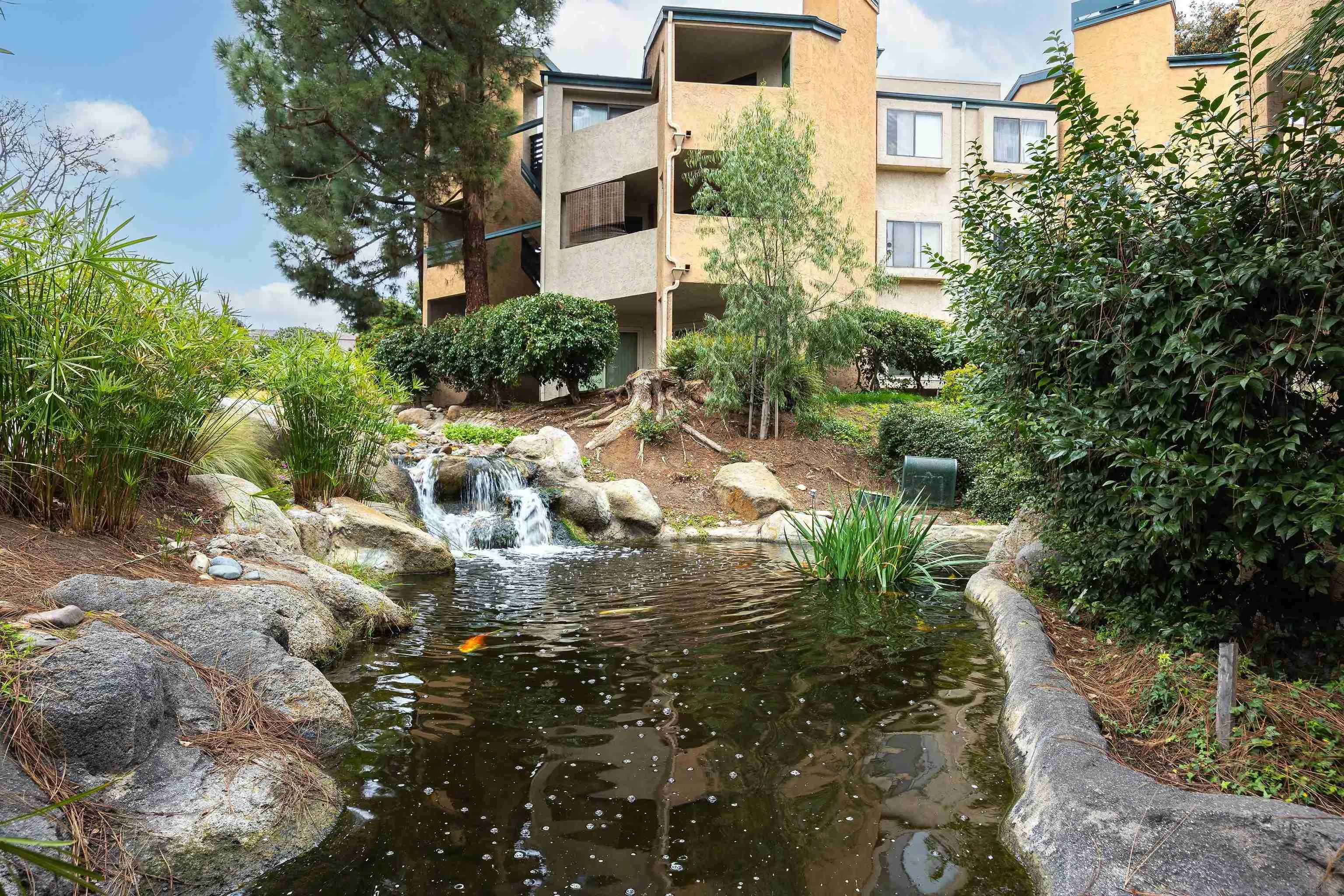 9765 Mesa Springs Way Unit 66