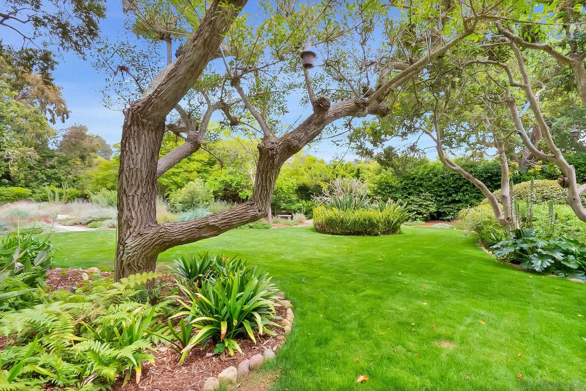 1205 Muirlands Dr