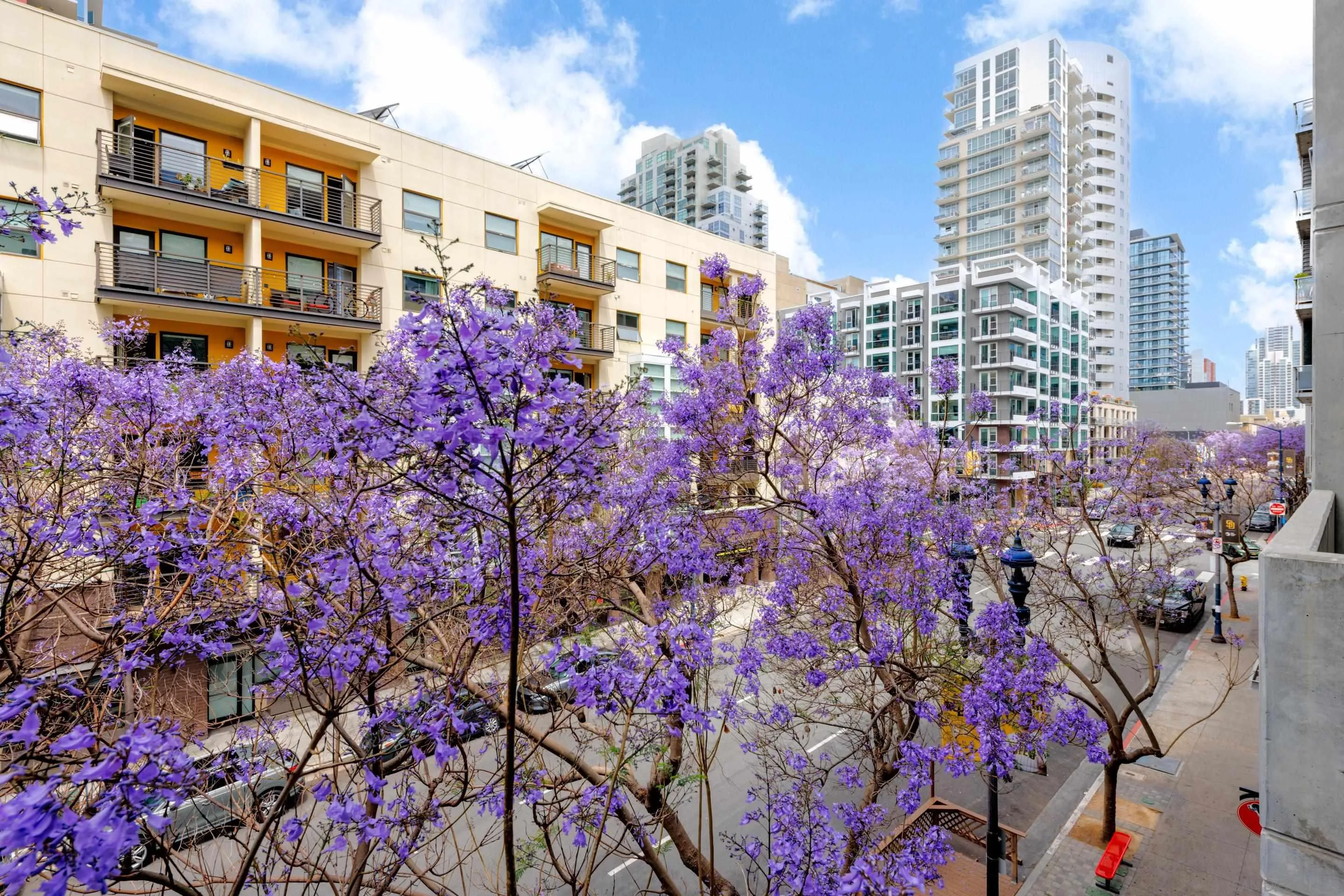 1025 Island Ave Unit 313
