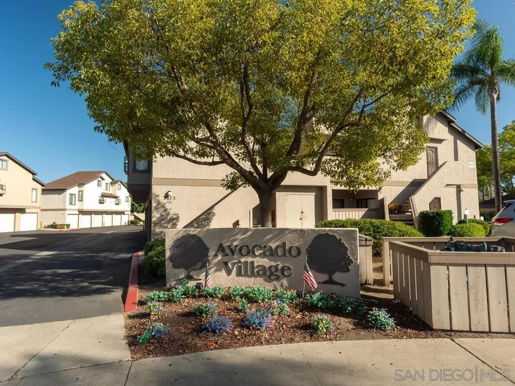 3649 Avocado Village Ct Unit 154