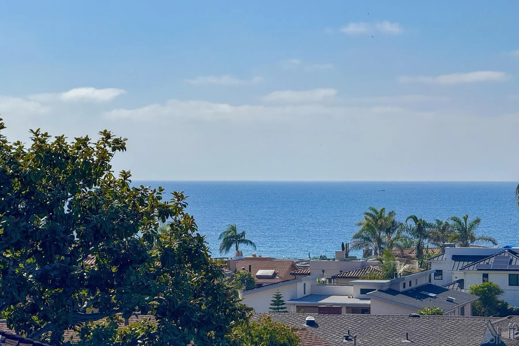 2351 Calle Corta