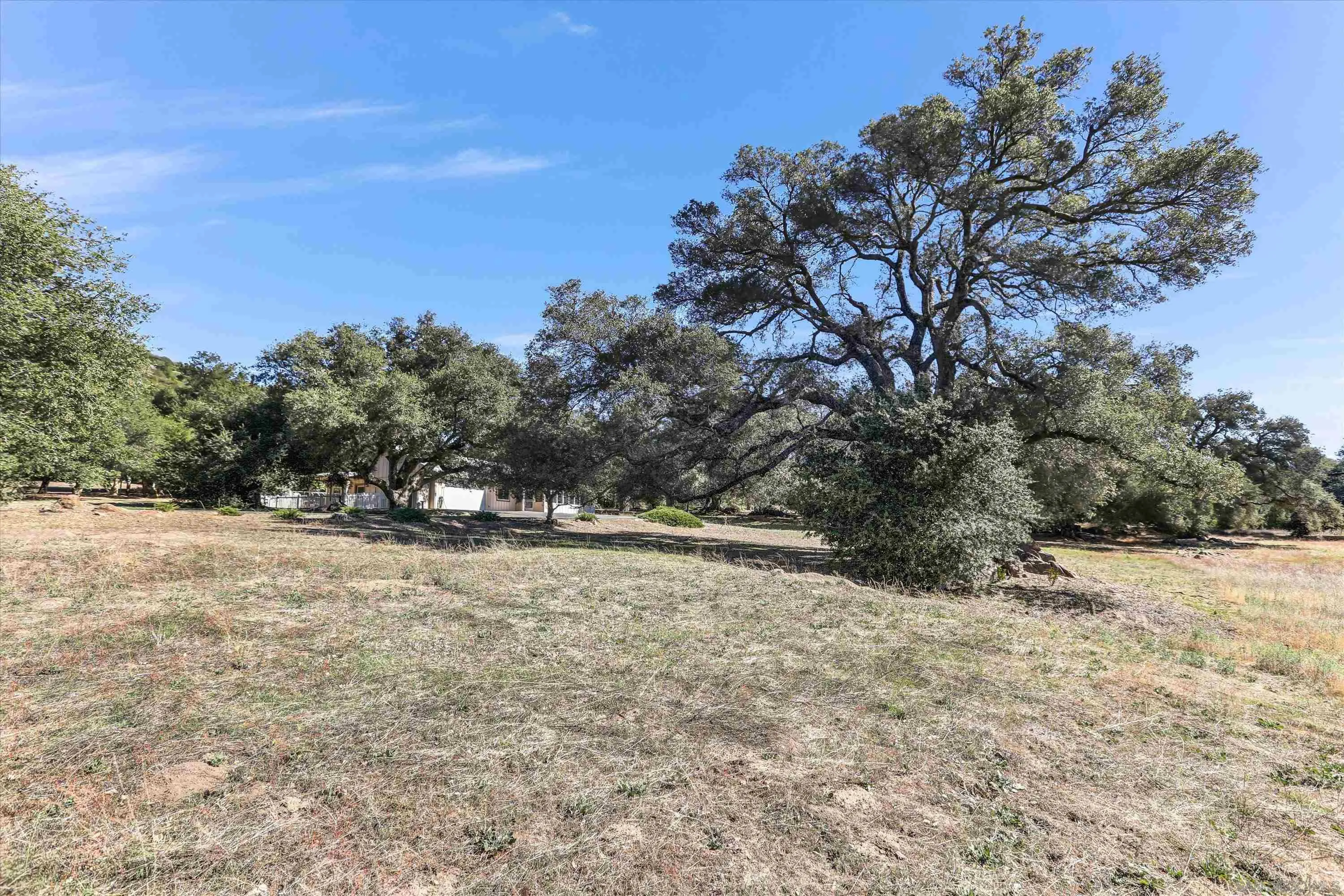 3258 Pine Hills