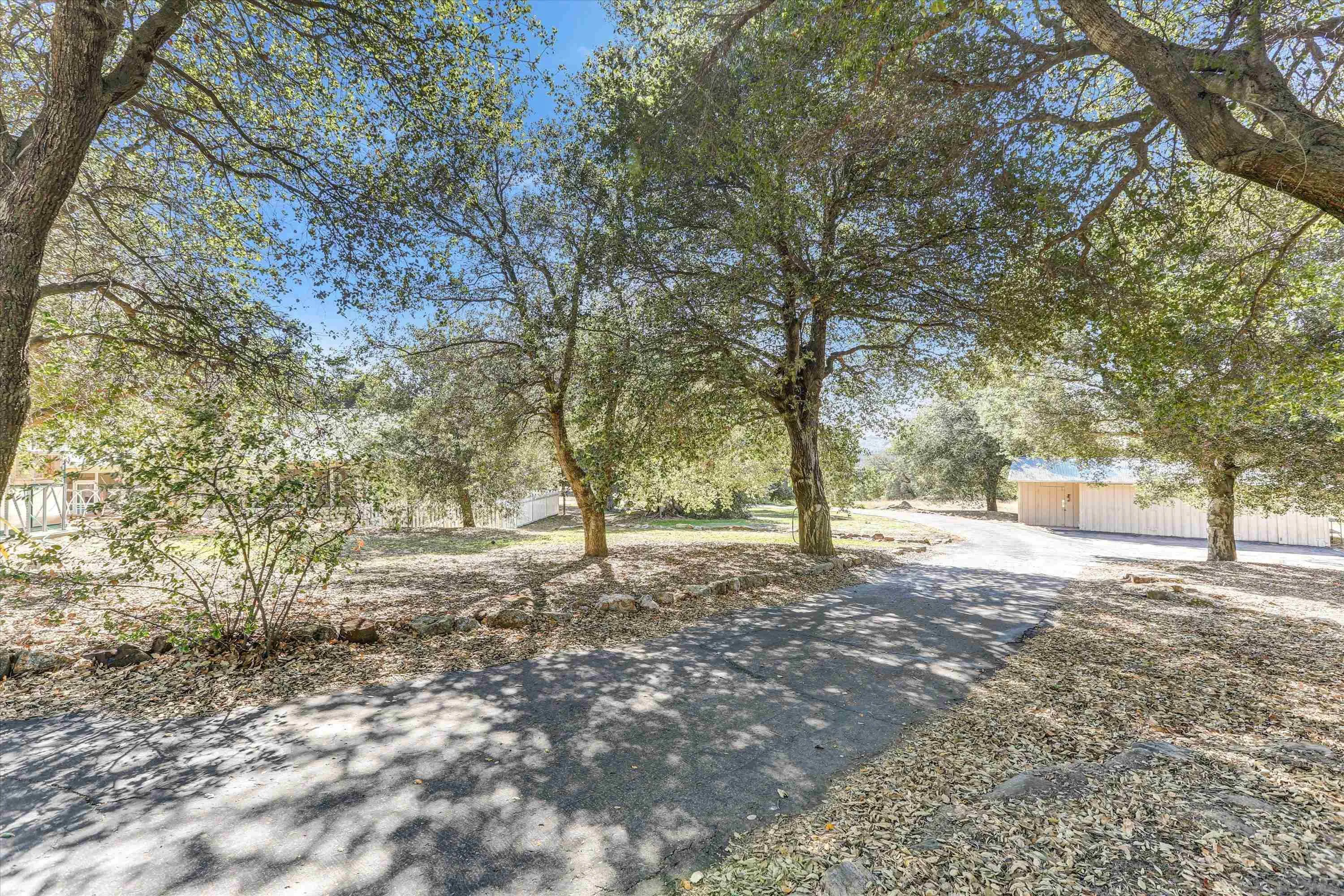 3258 Pine Hills
