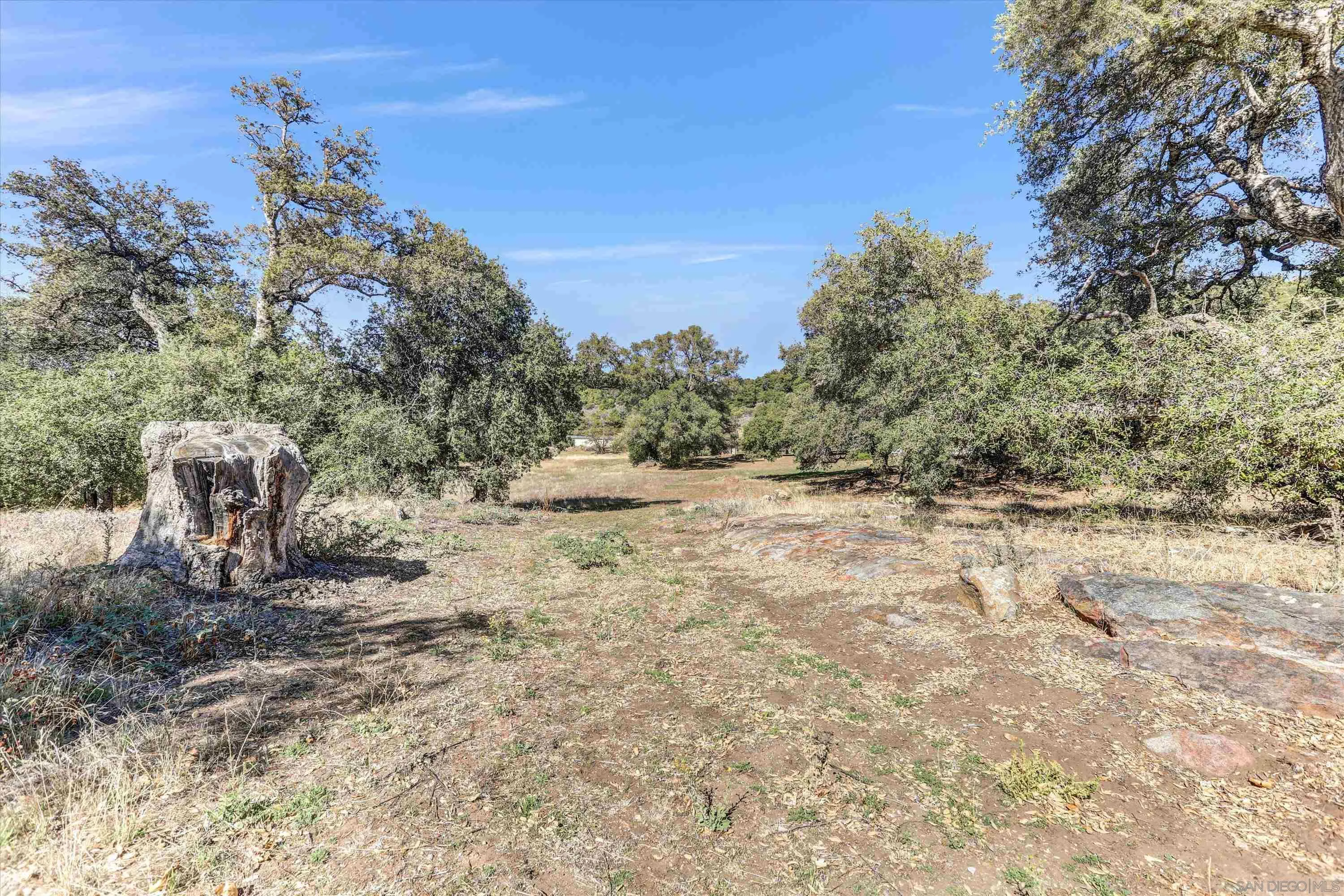 3258 Pine Hills