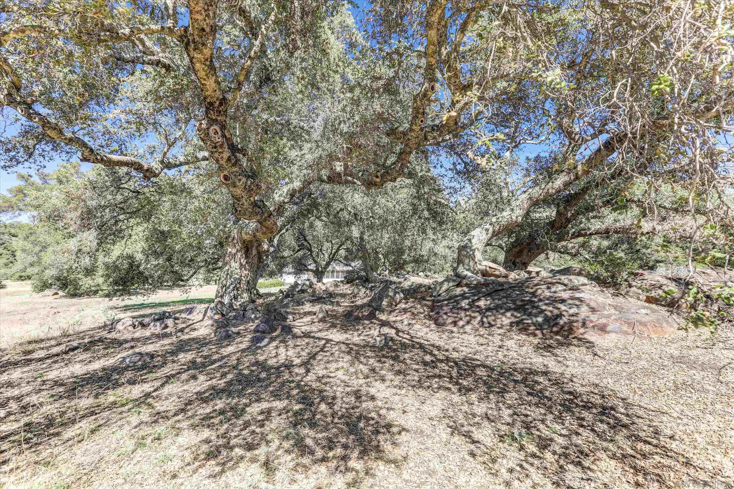 3258 Pine Hills