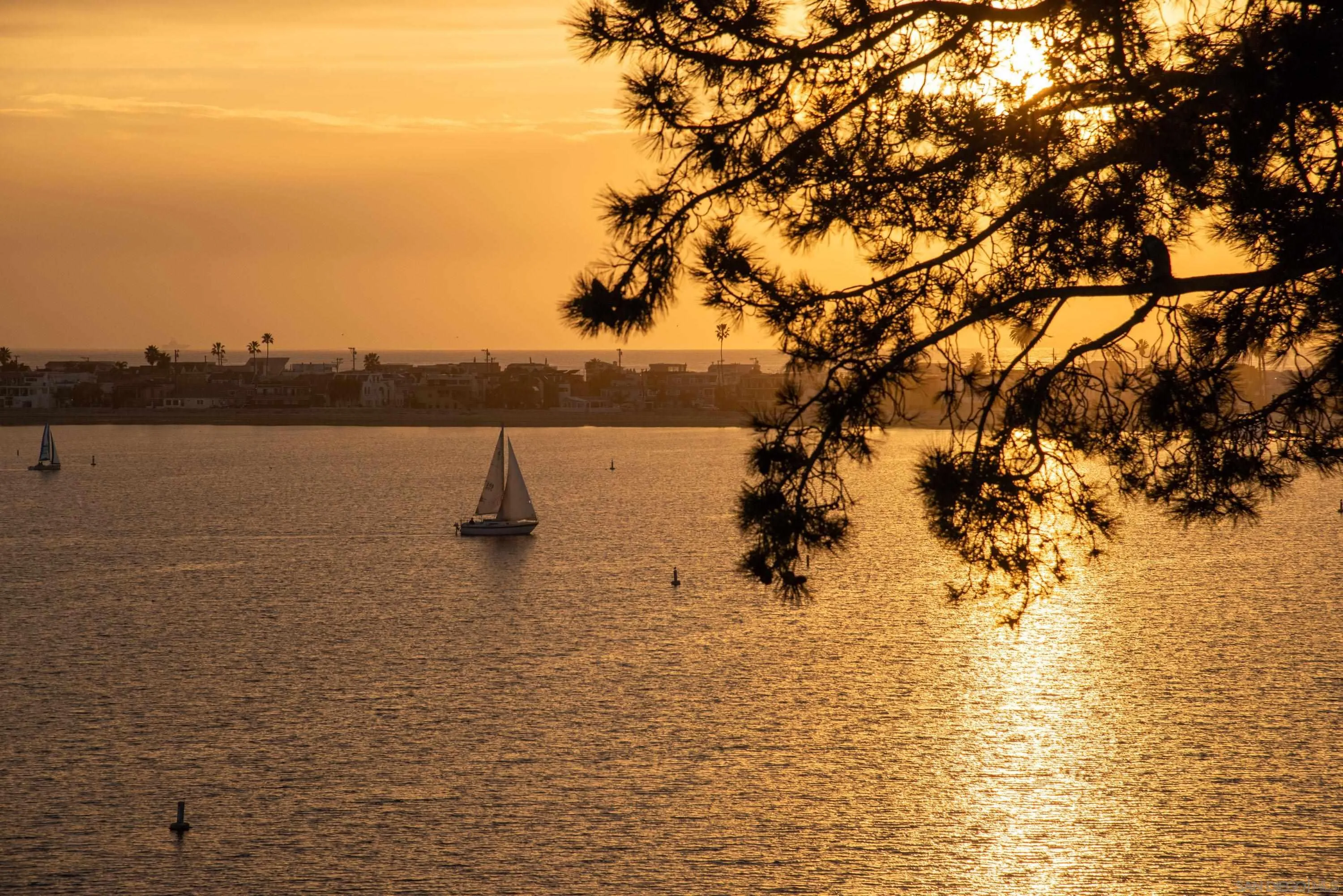 3940 Gresham St Unit 251