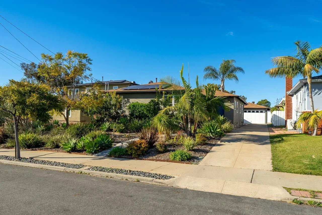 3160 Olive Steet