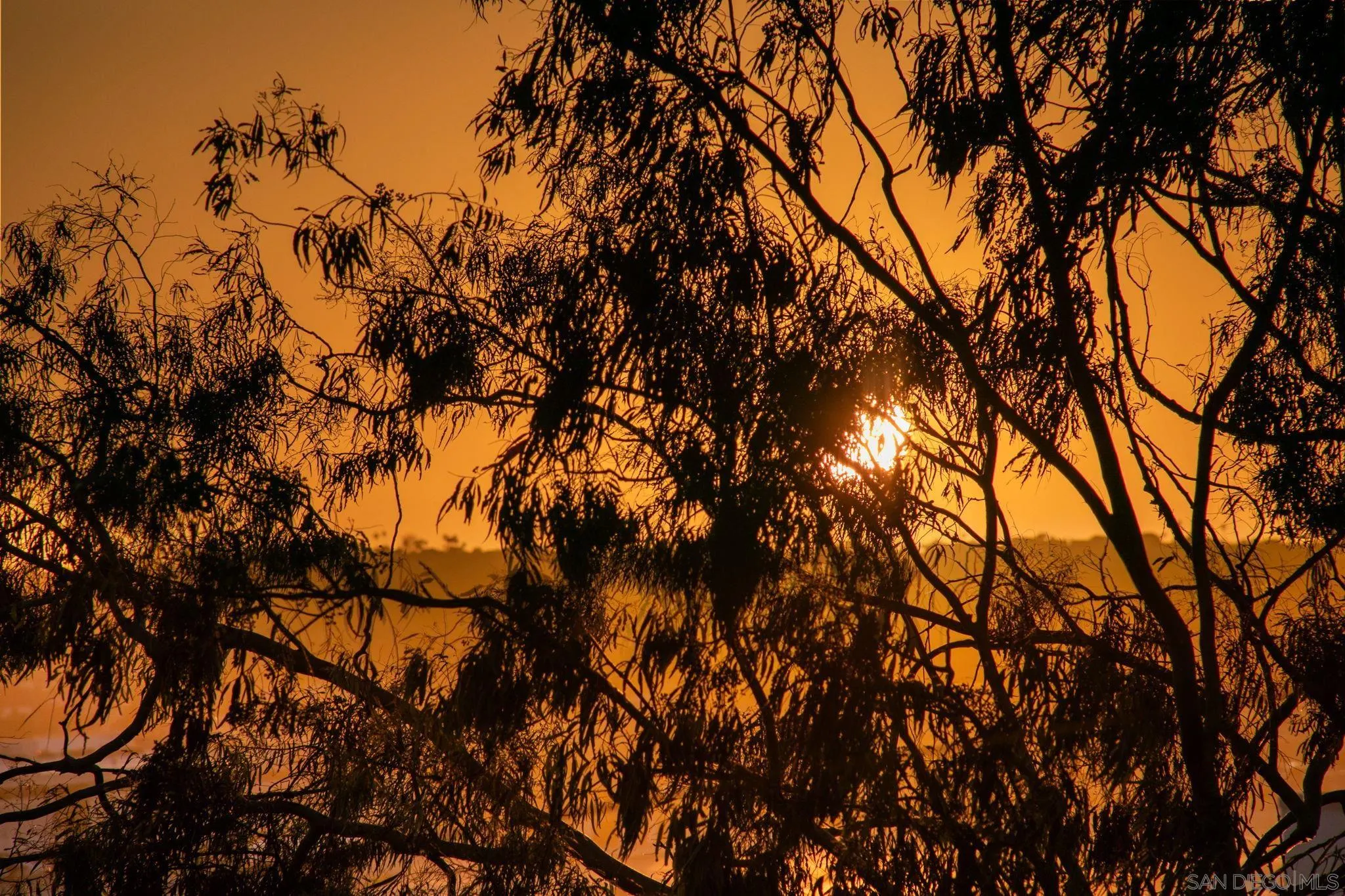 3033 India St. Unit 6