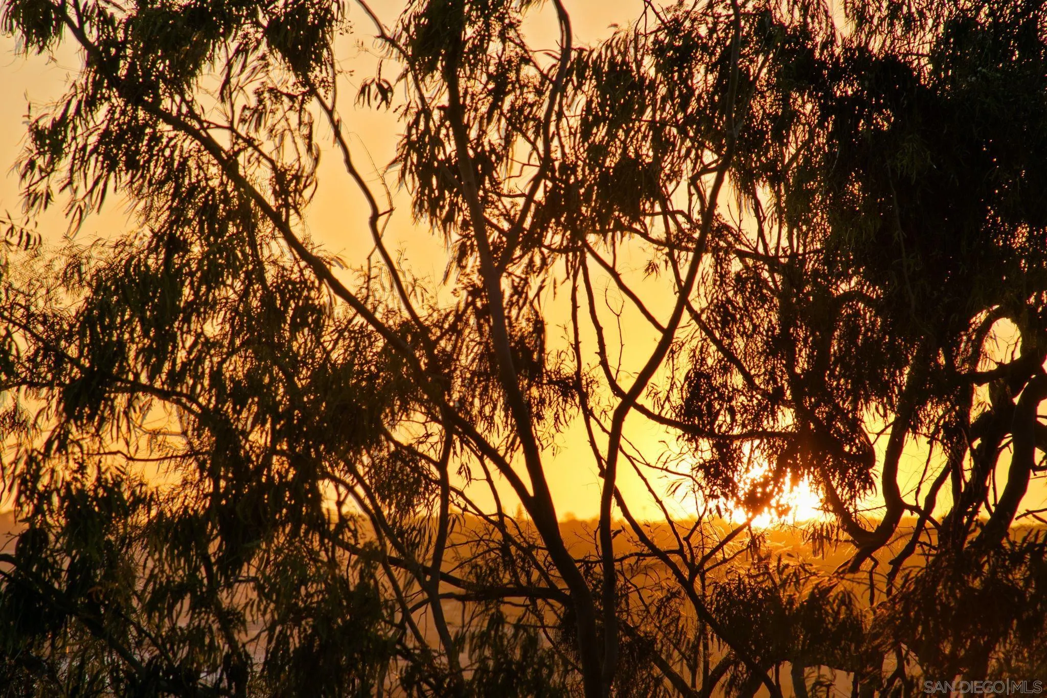 3033 India St. Unit 6