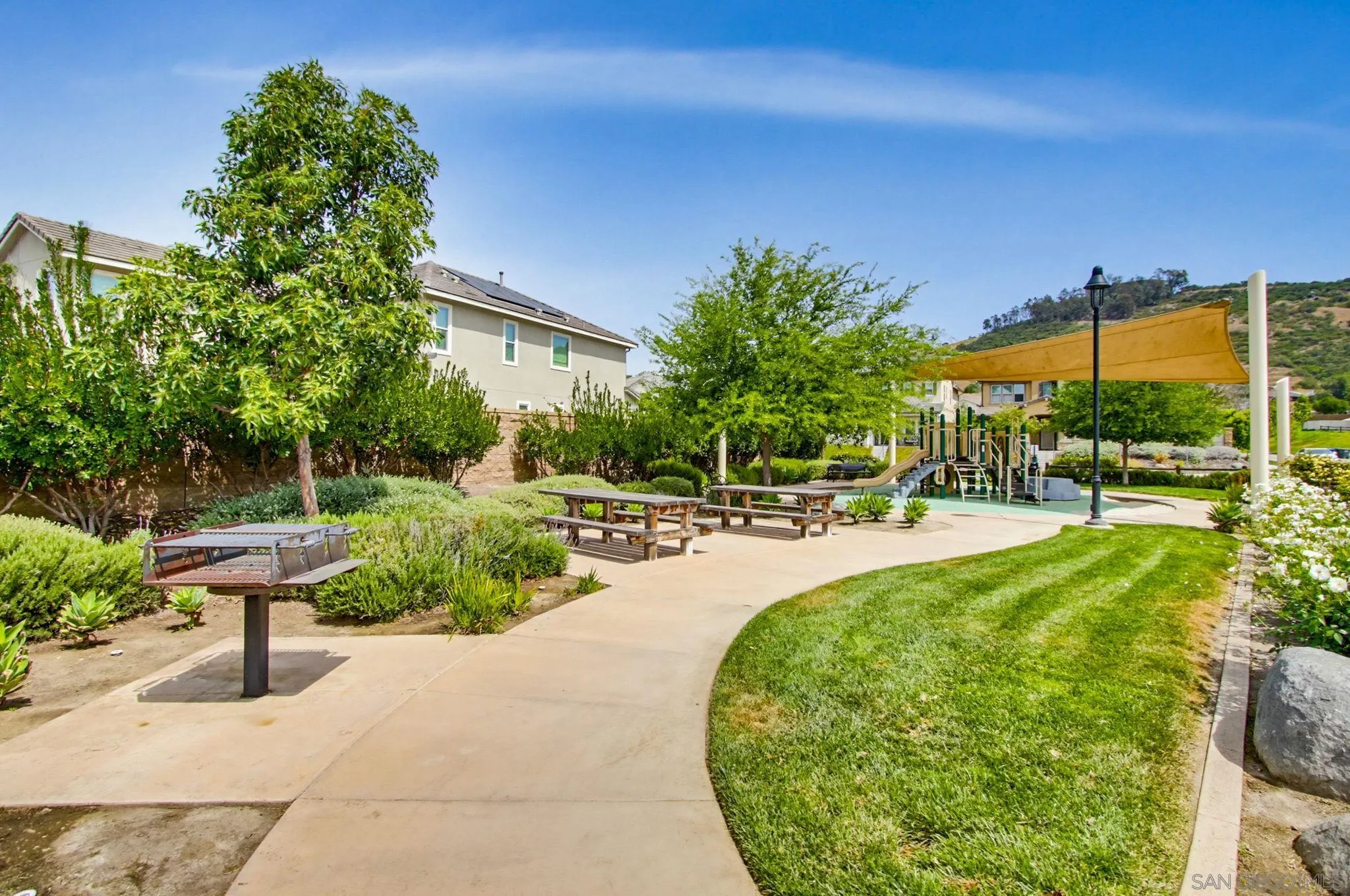 21623 Deer Grass