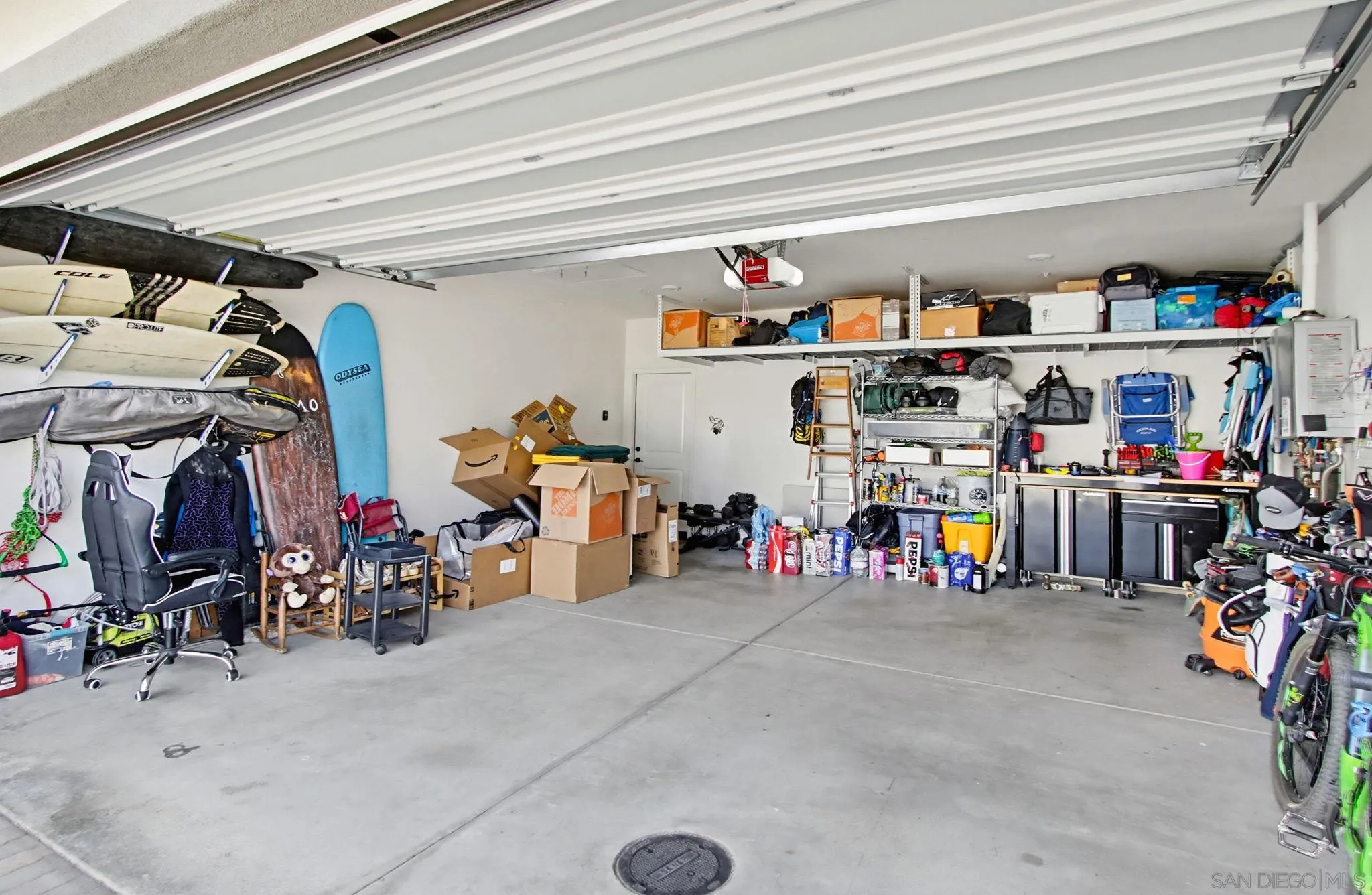 21623 Deer Grass