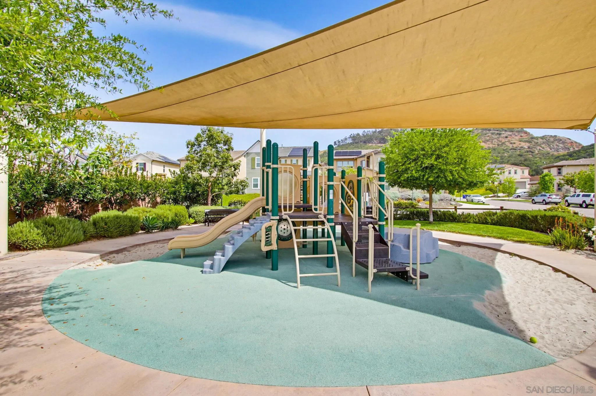21623 Deer Grass