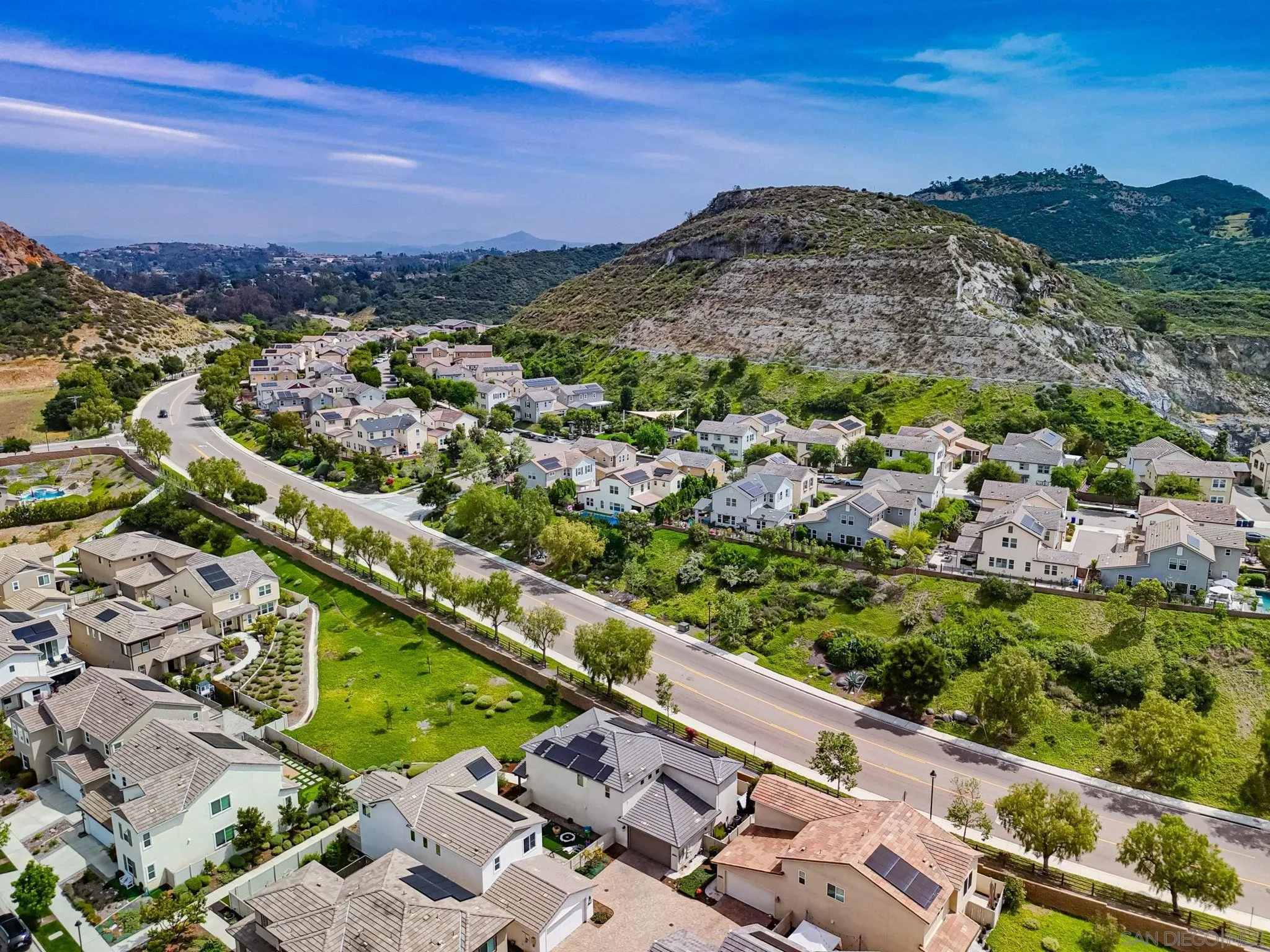 21623 Deer Grass