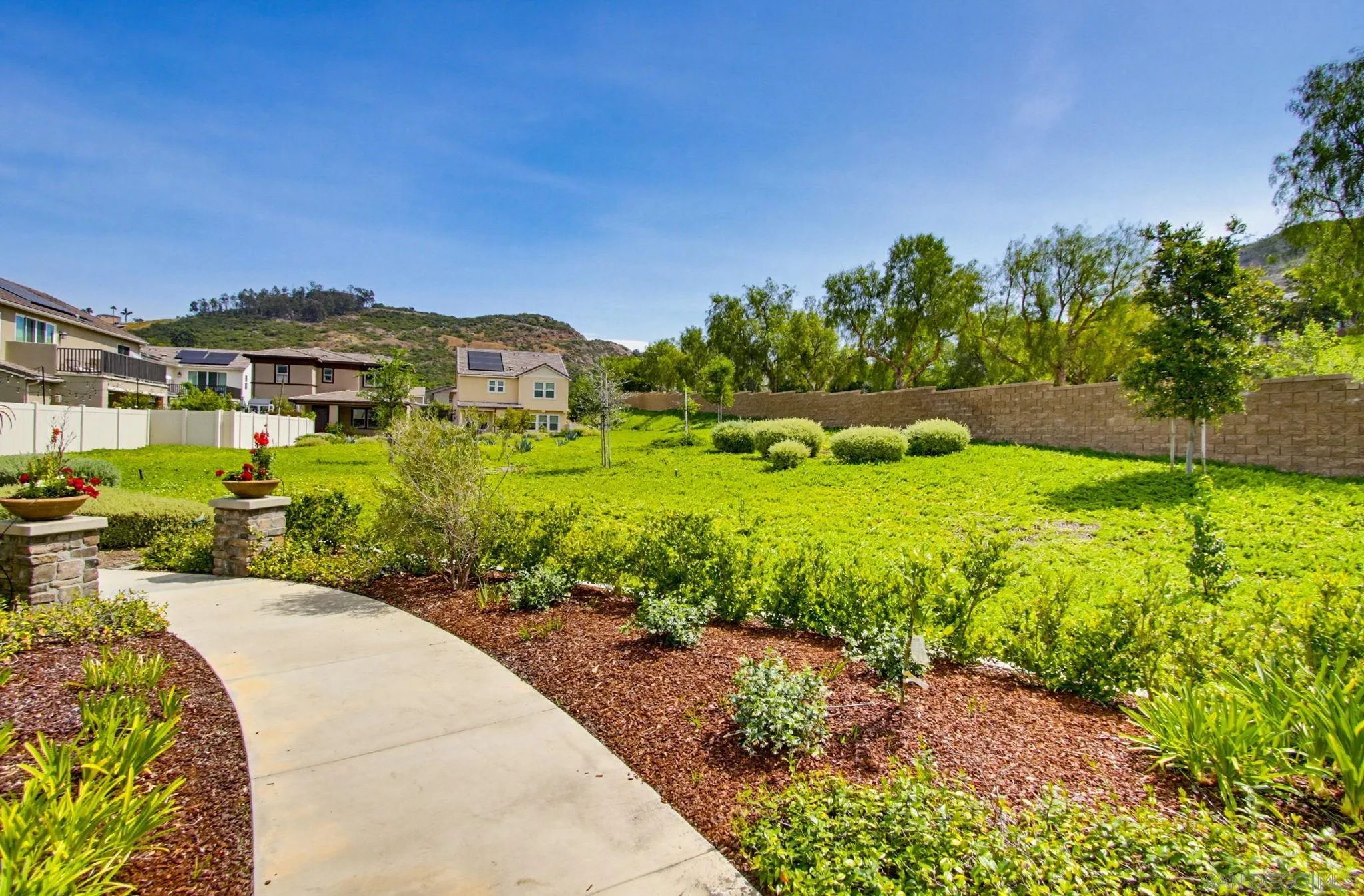 21623 Deer Grass