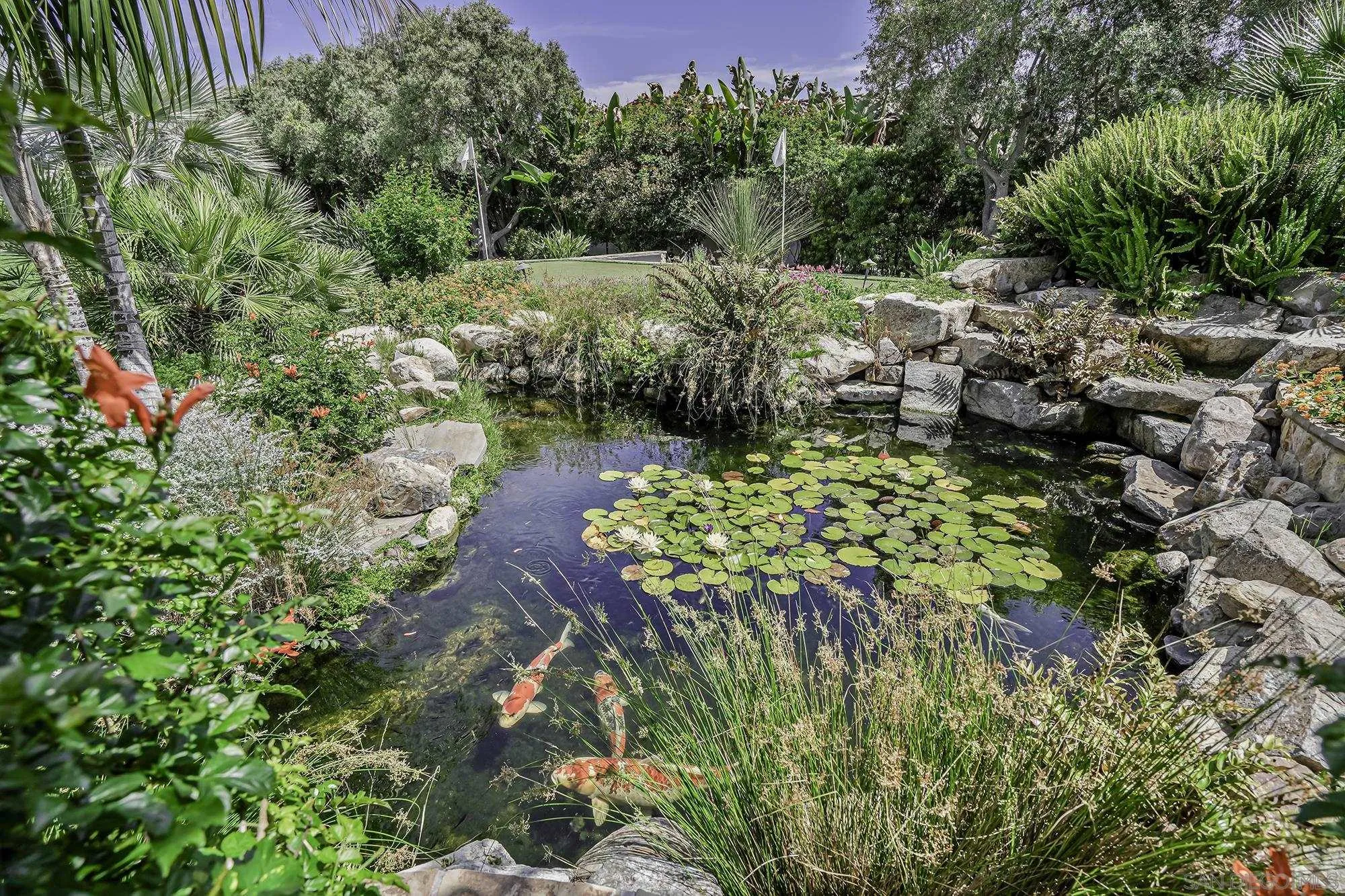 15823 The River Trail