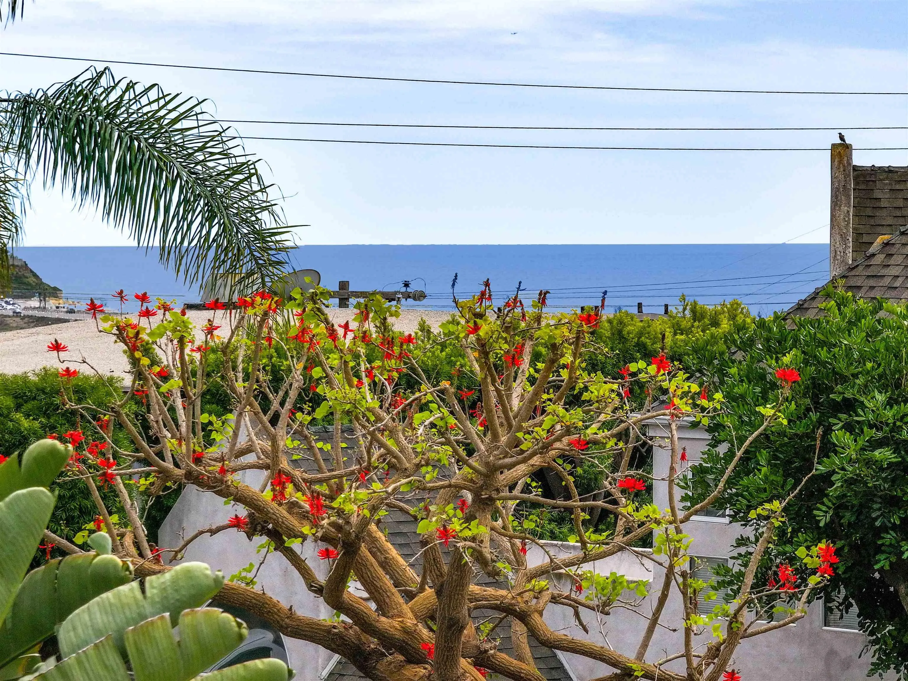 2449 Manchester Ave, Cardiff-by-the-Sea