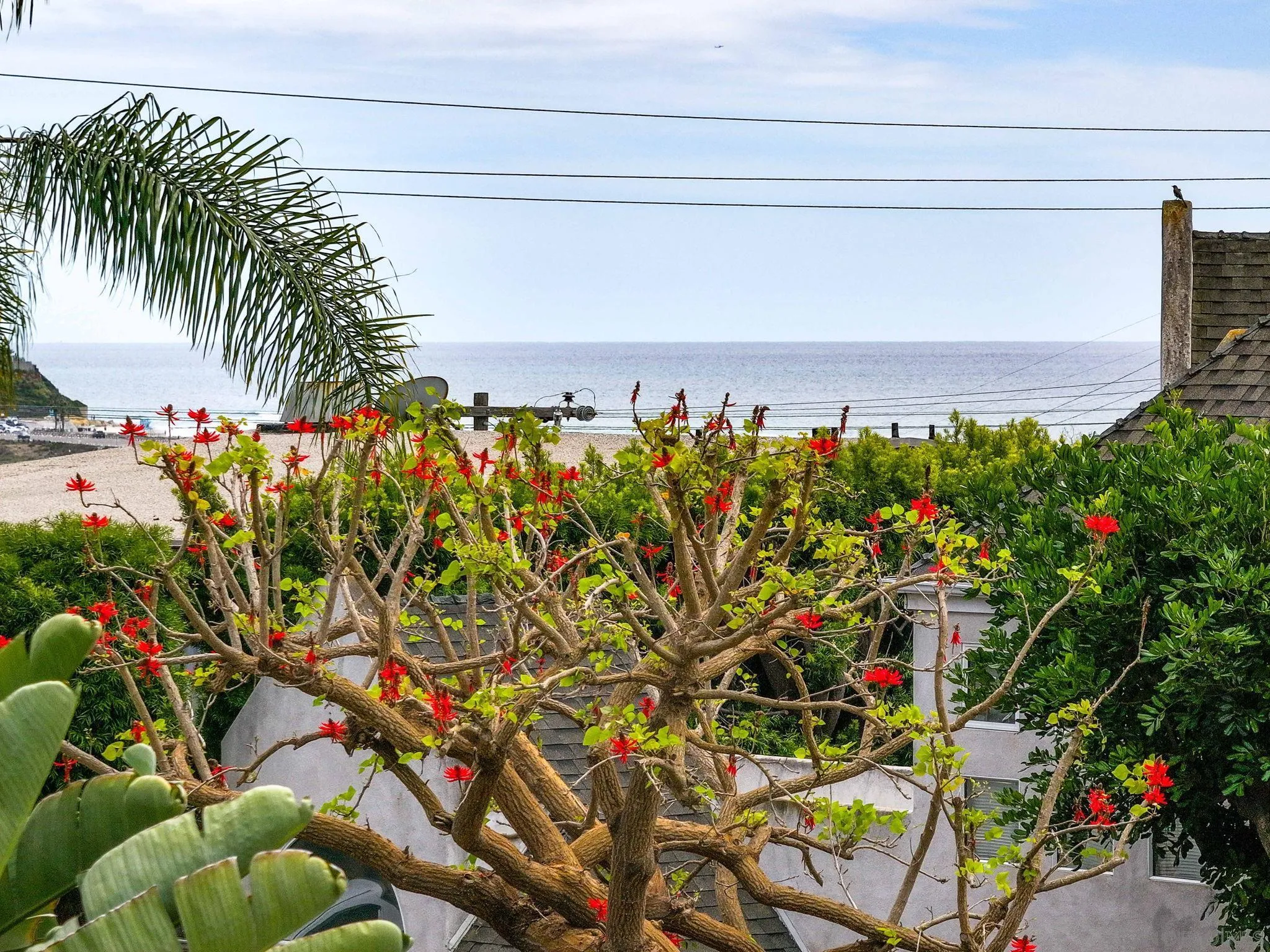2449 Manchester Ave, Cardiff-by-the-Sea