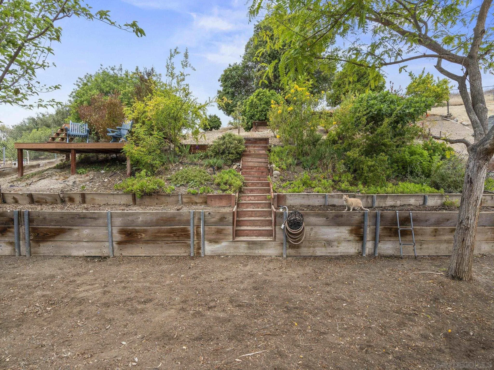9644 Cecilwood