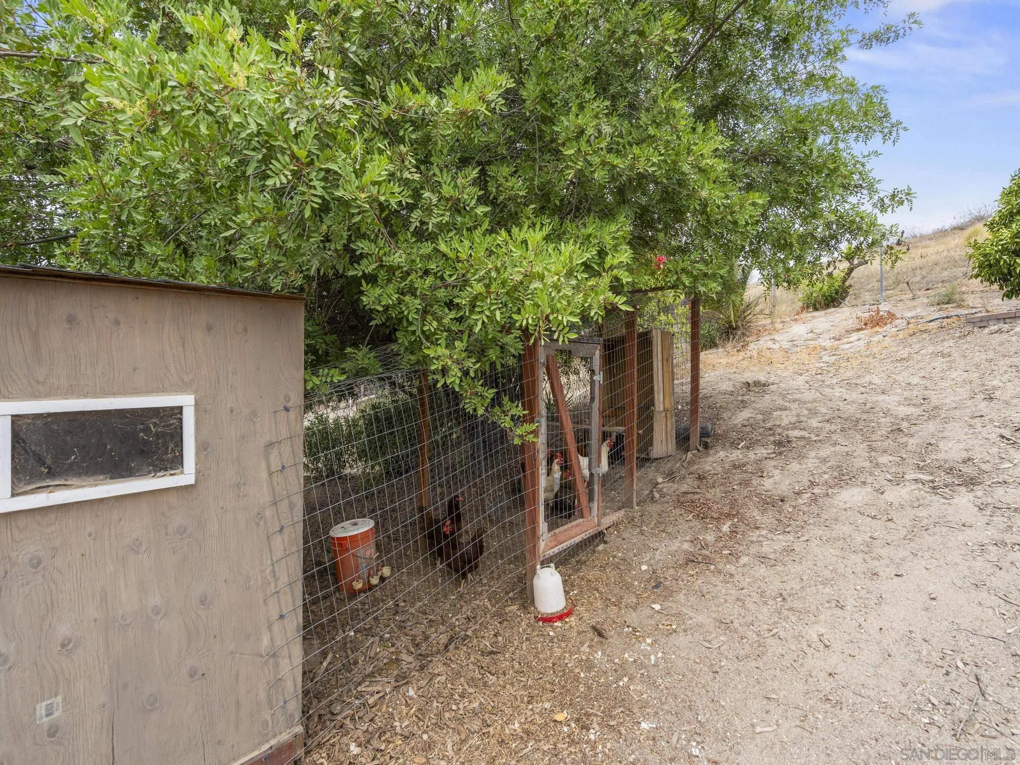 9644 Cecilwood
