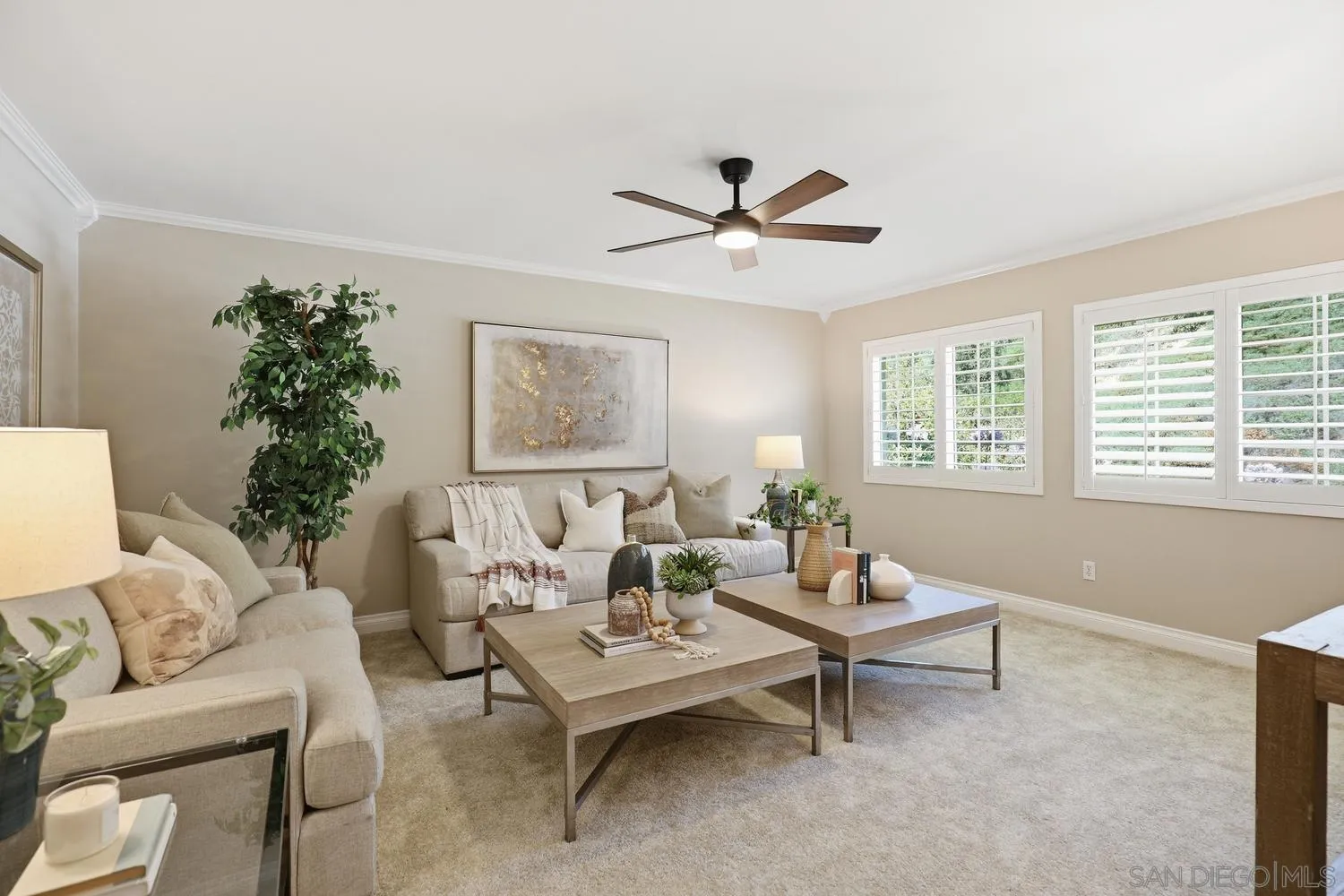 10325 Avenida Magnifica