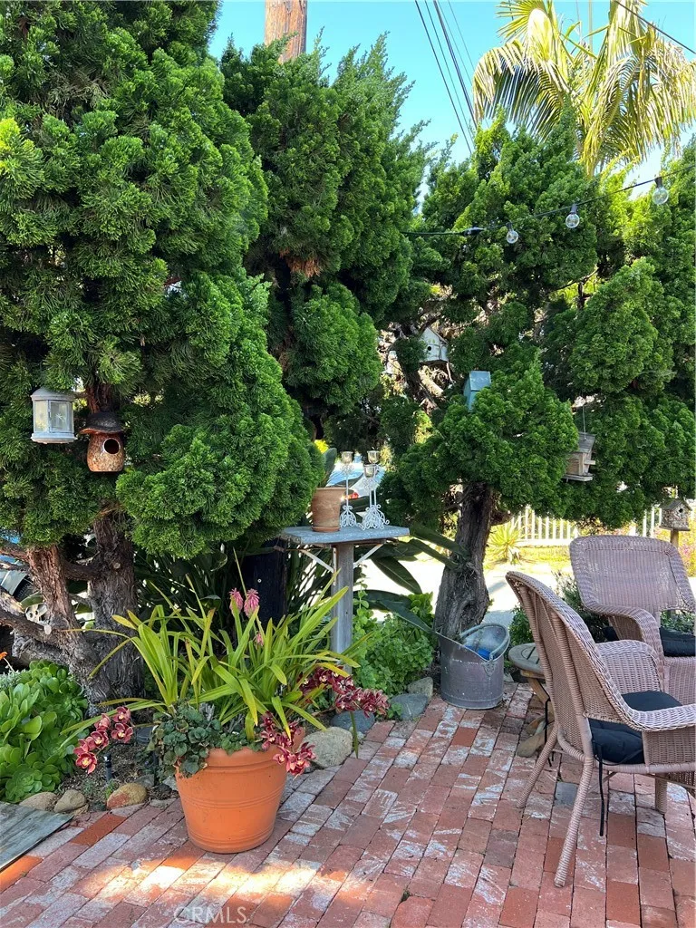 1262 Catalina