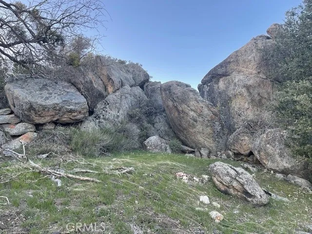 27251 Deertrail