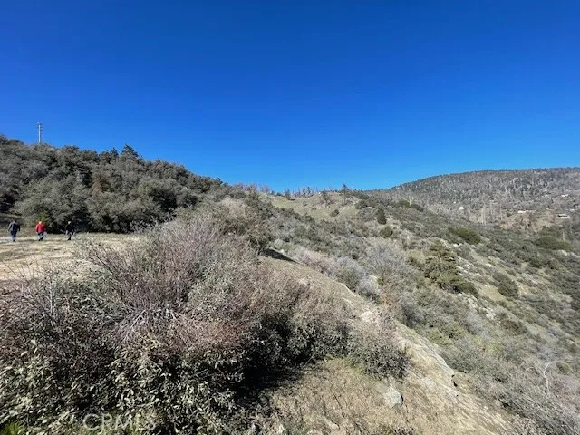 27251 Deertrail