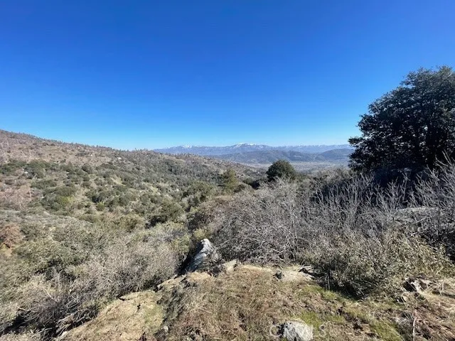 27251 Deertrail
