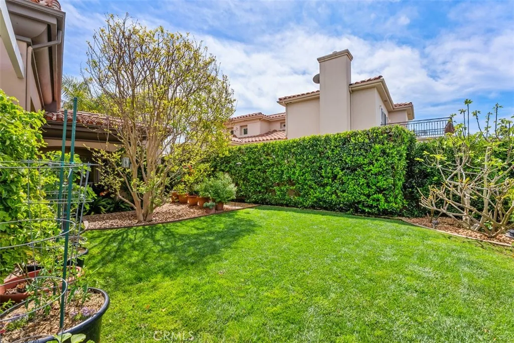 11 San Rafael
