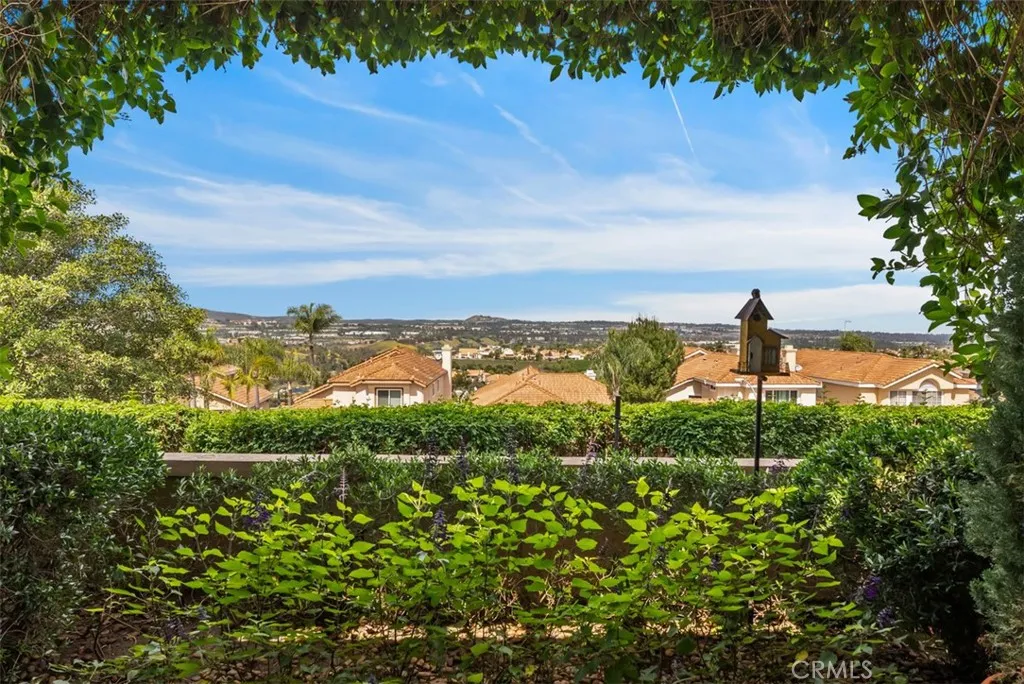 11 San Rafael