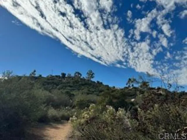0 Muth Valley