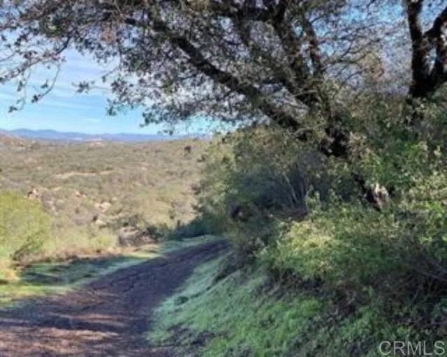 0 Muth Valley