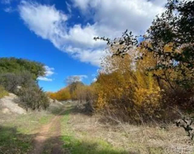 0 Muth Valley