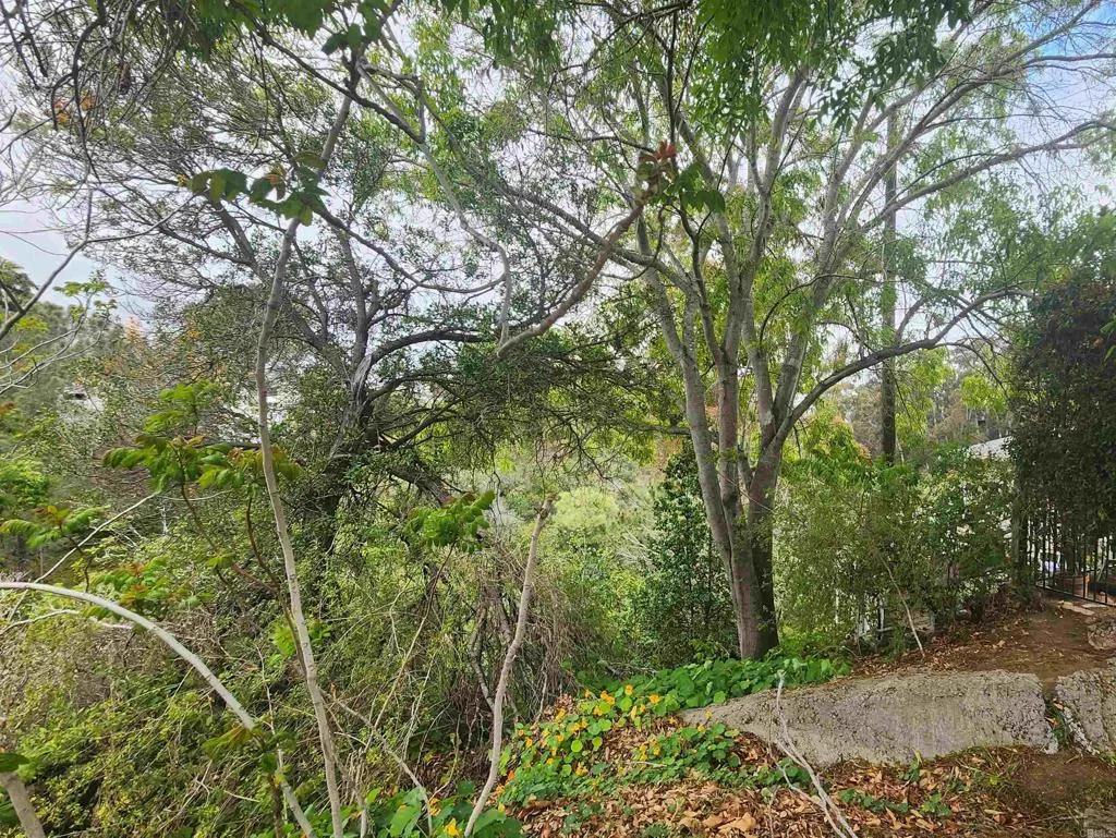 938 938 W Lewis Street, Mission Hills (san Diego)