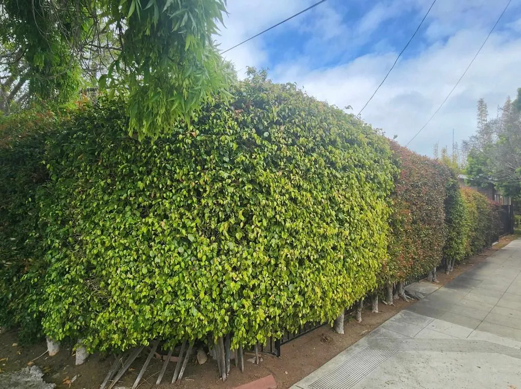 938 938 W Lewis Street, Mission Hills (san Diego)
