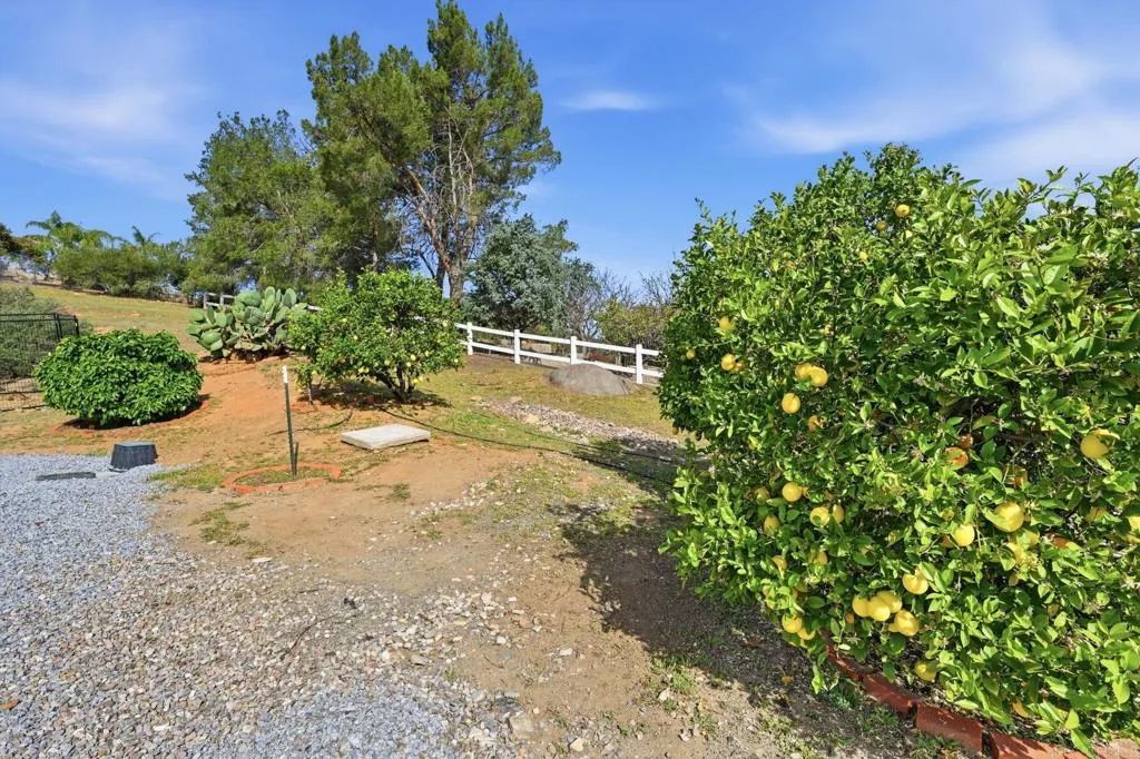 2852 Conestoga Court