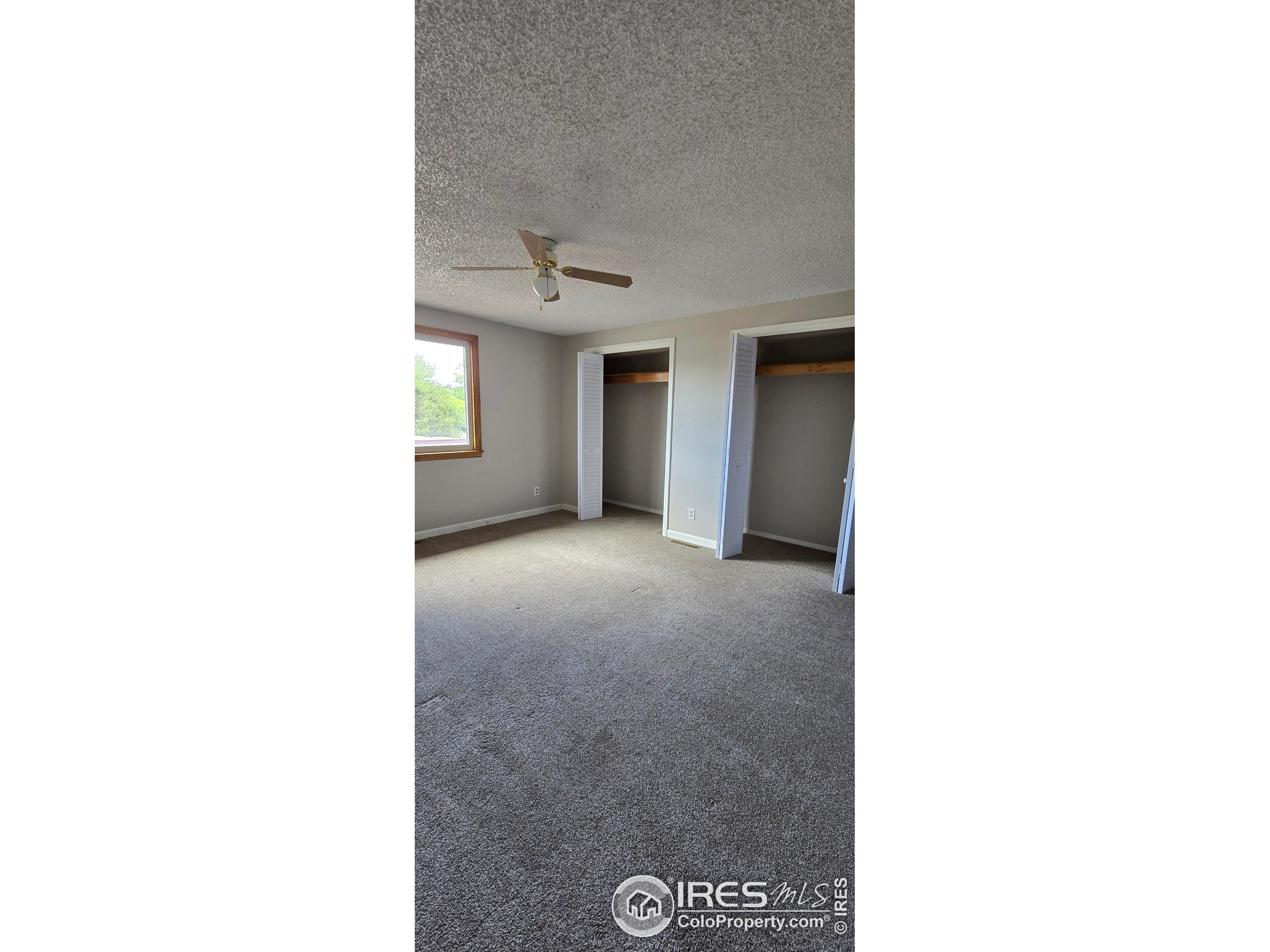 431 Dahlia St