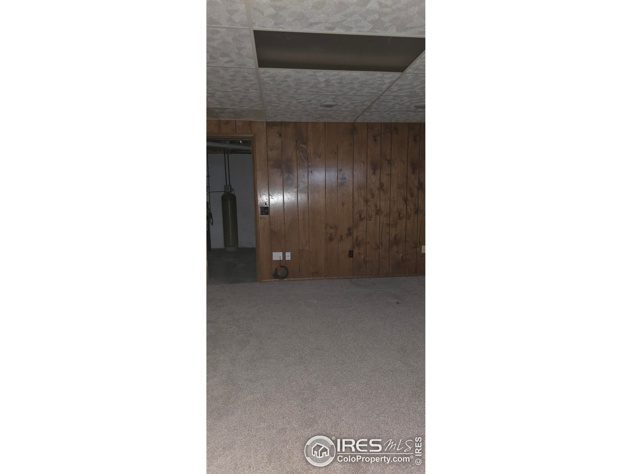 431 Dahlia St