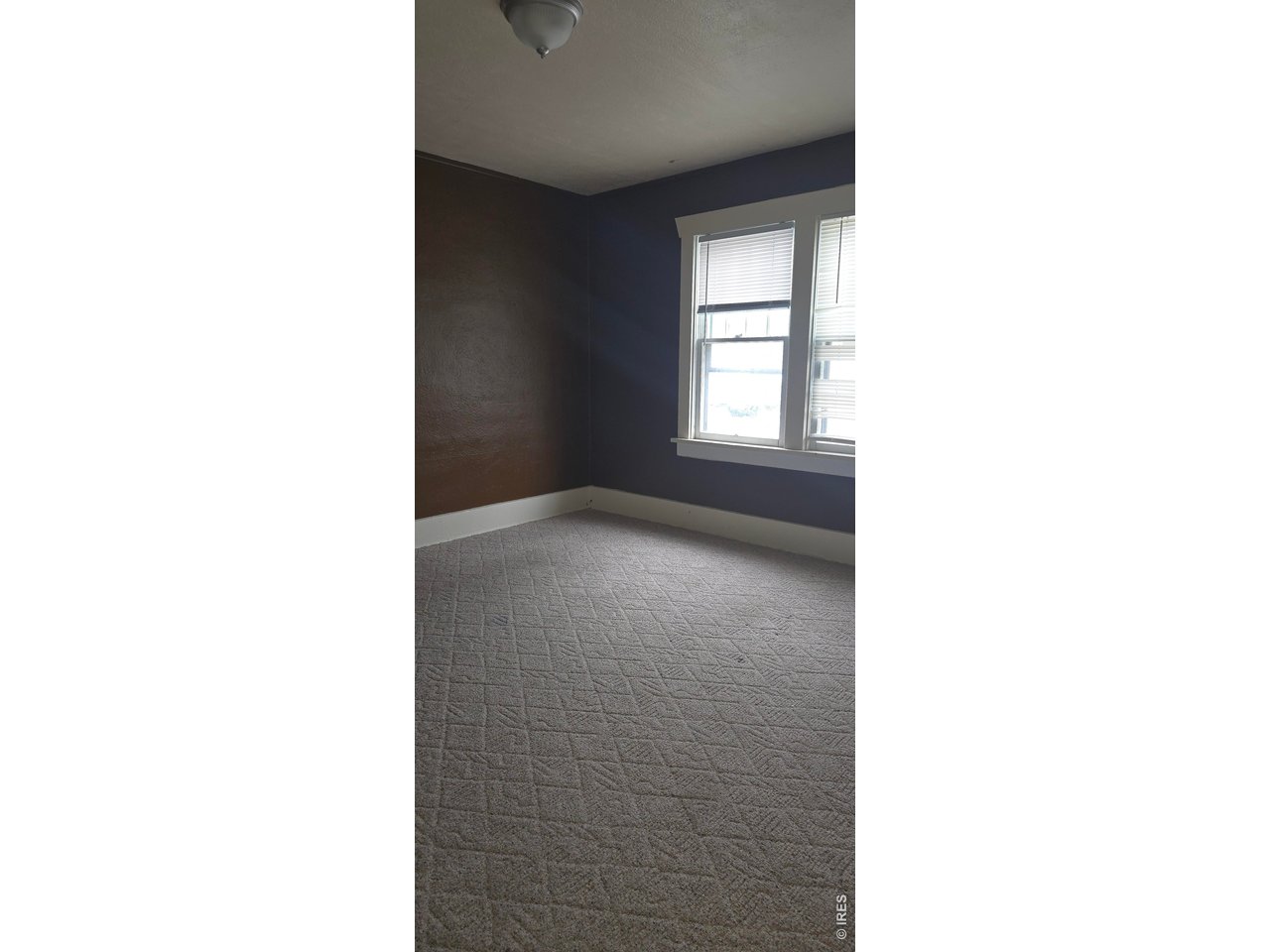 501 Euclid St