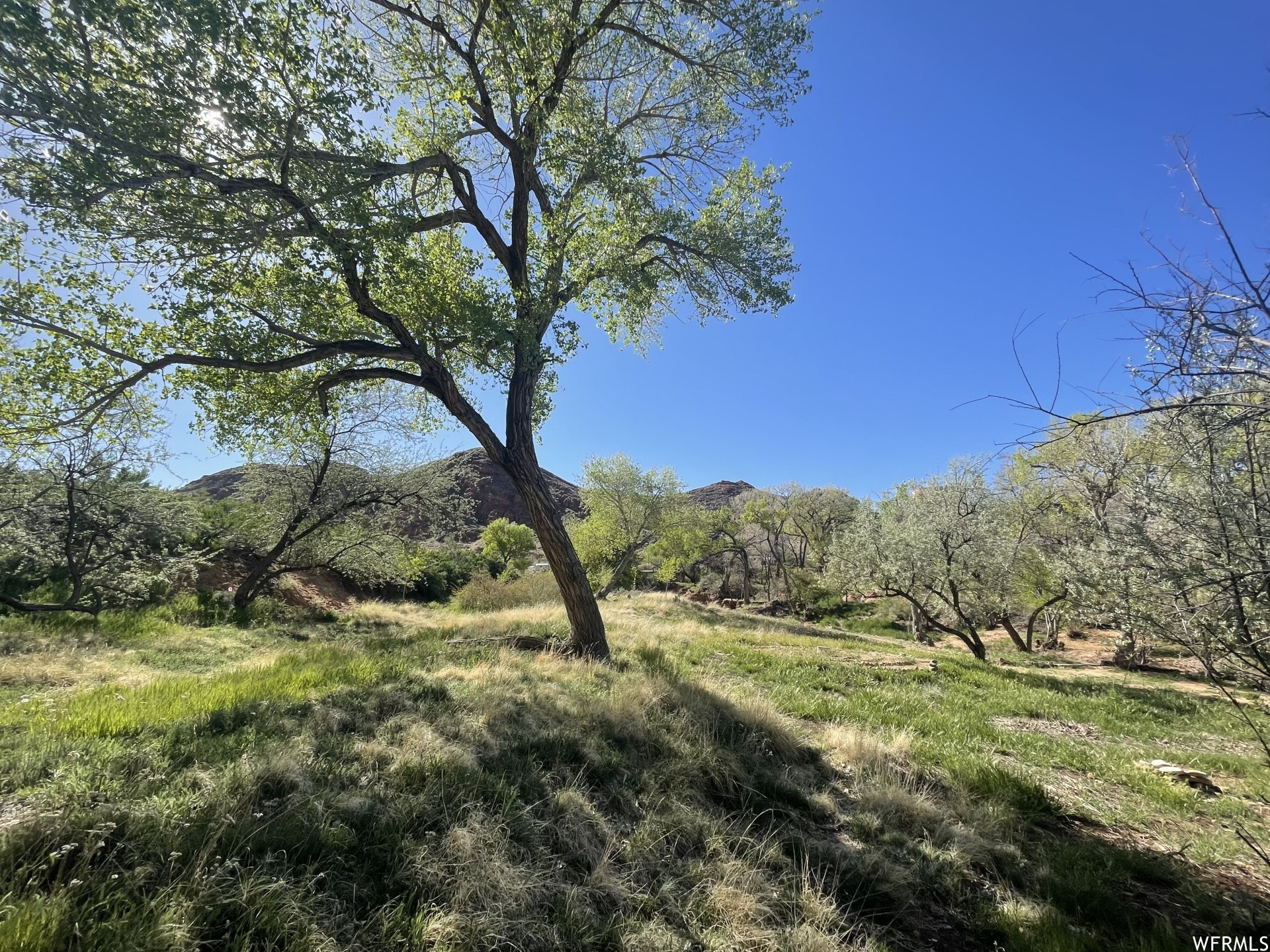 1389 E POWERHOUSE LN